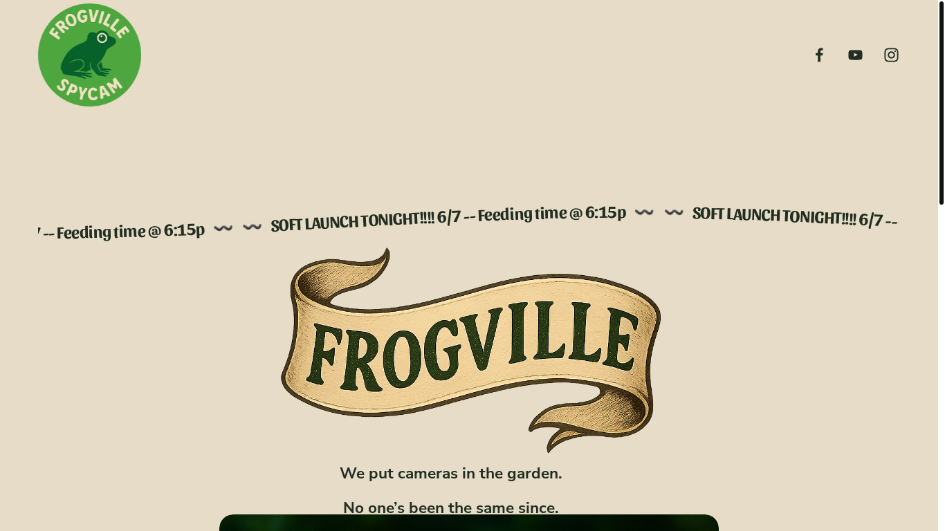 website screenshot of https://frogvillemedia.com/