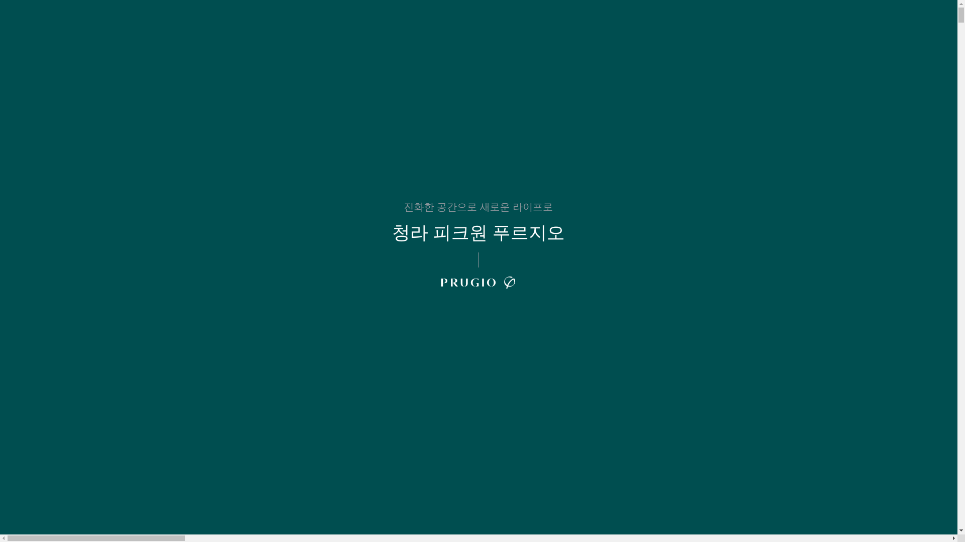 website screenshot of https://peakoneprugio.co.kr/