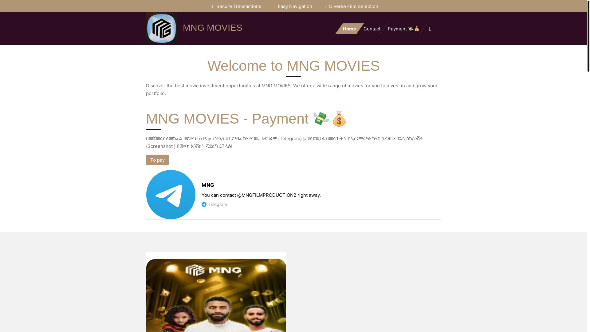 website screenshot of https://mng-movies.com/
