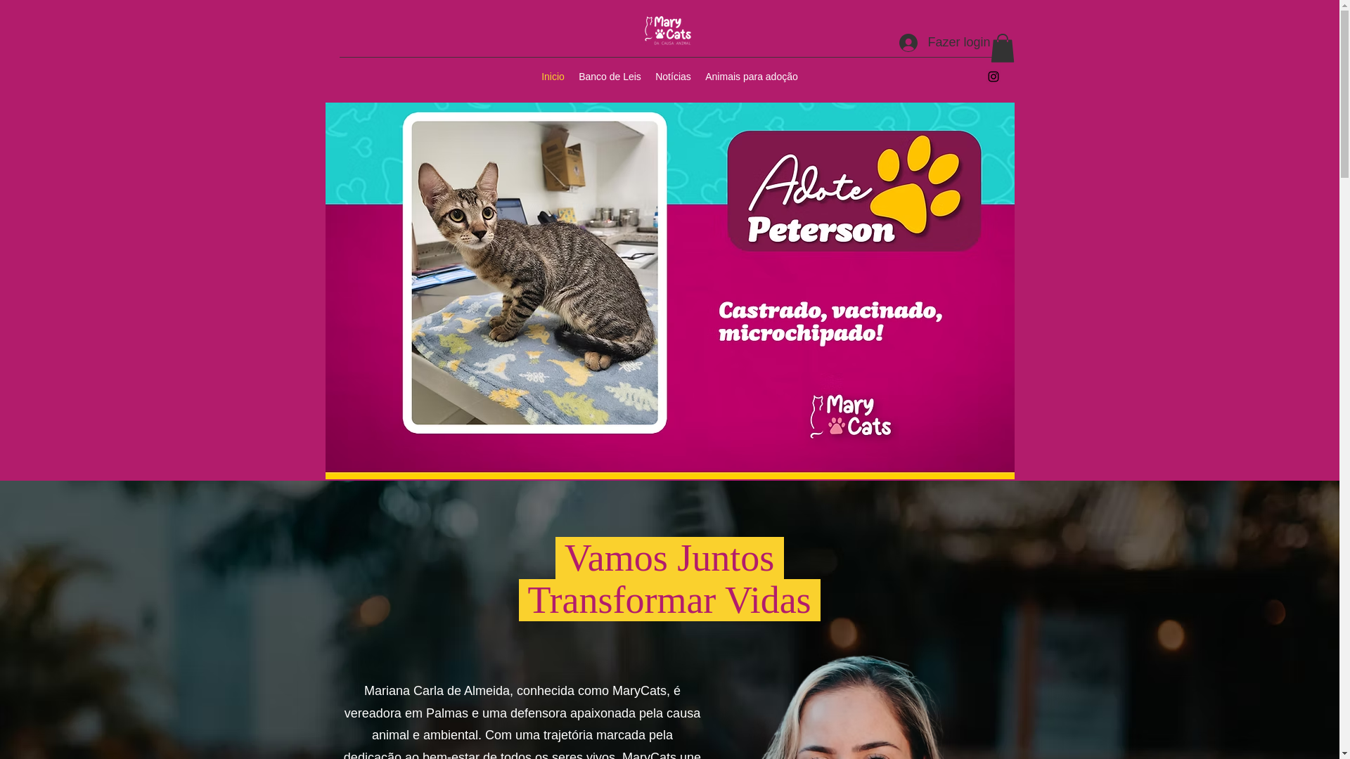 website screenshot of https://adotetocantins.com.br/