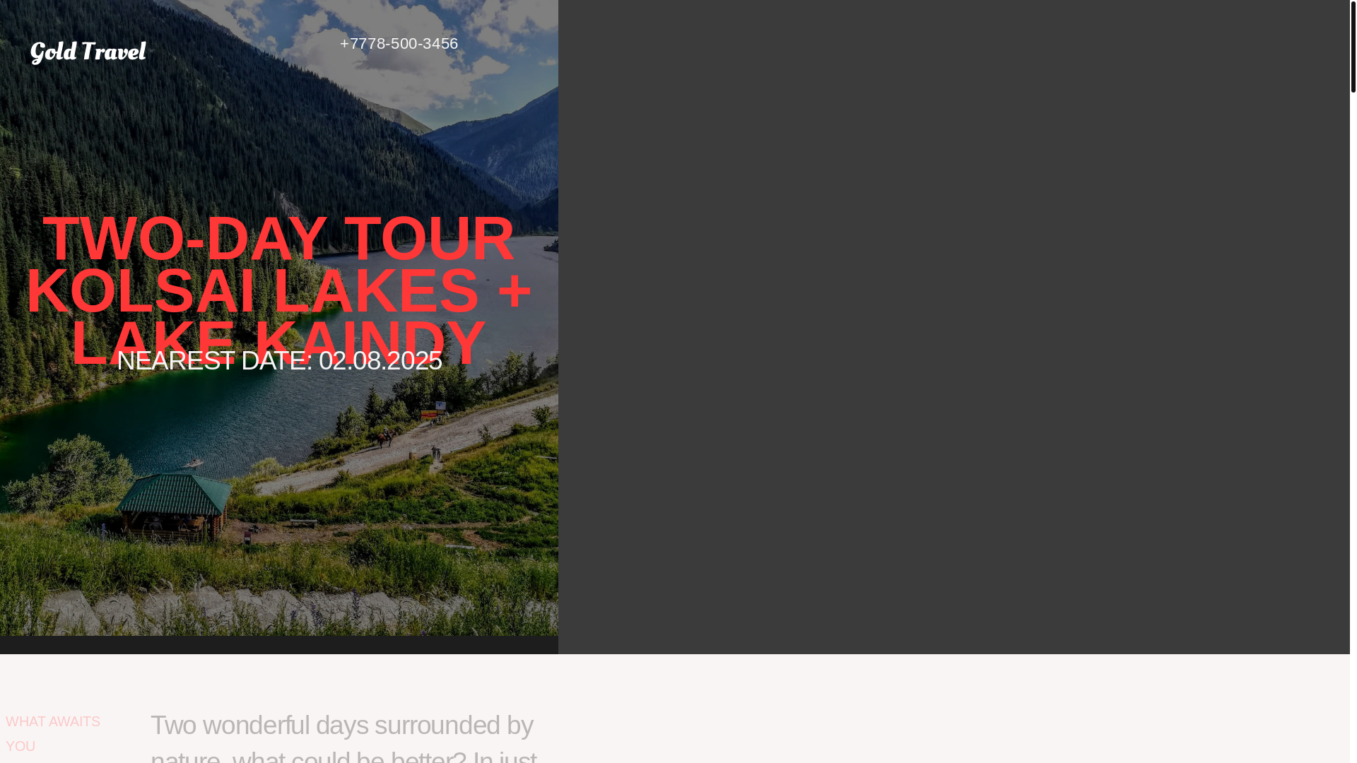 website screenshot of https://goldtraveltour.com/
