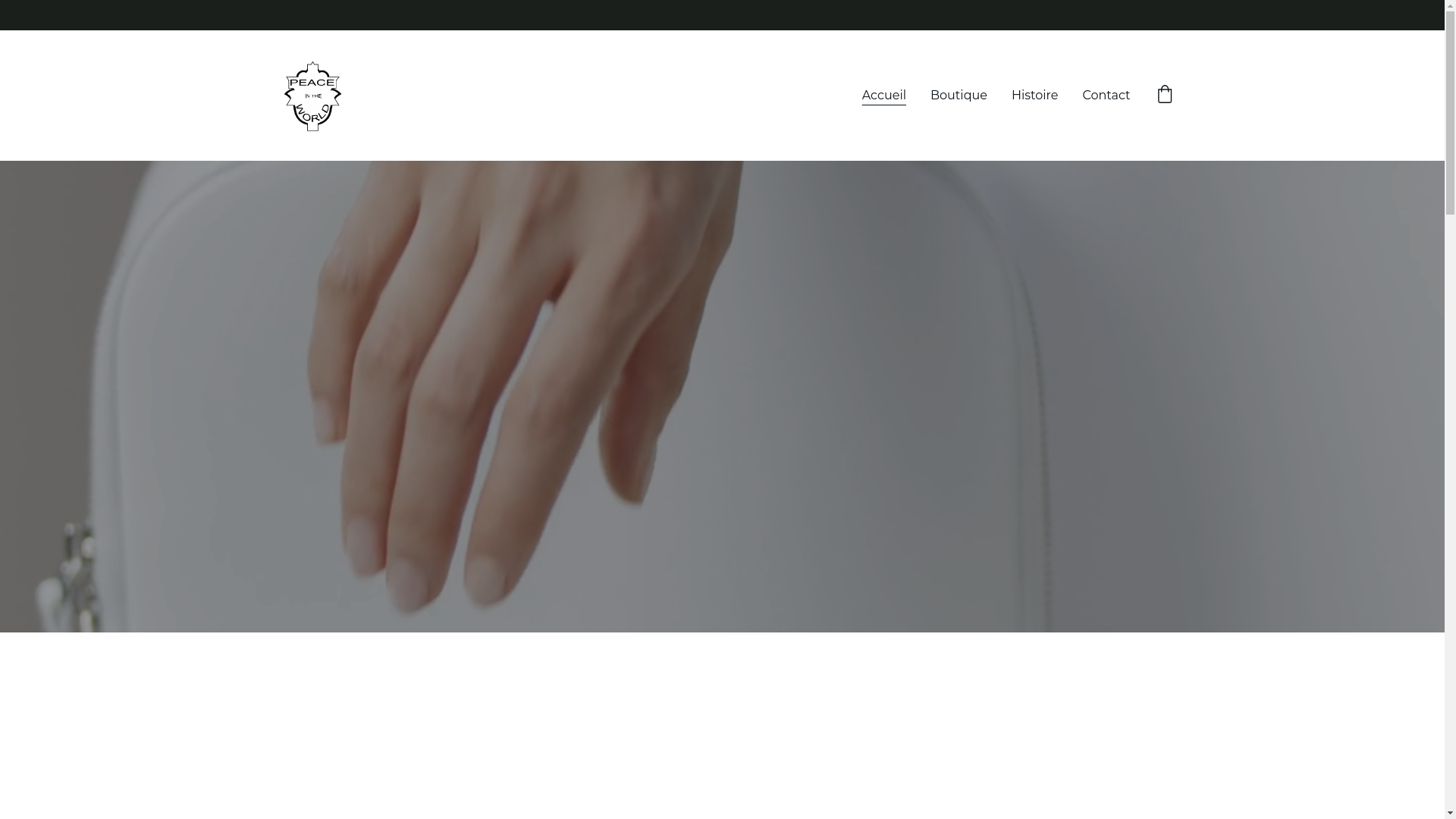 website screenshot of https://peaceintheworld.fr/