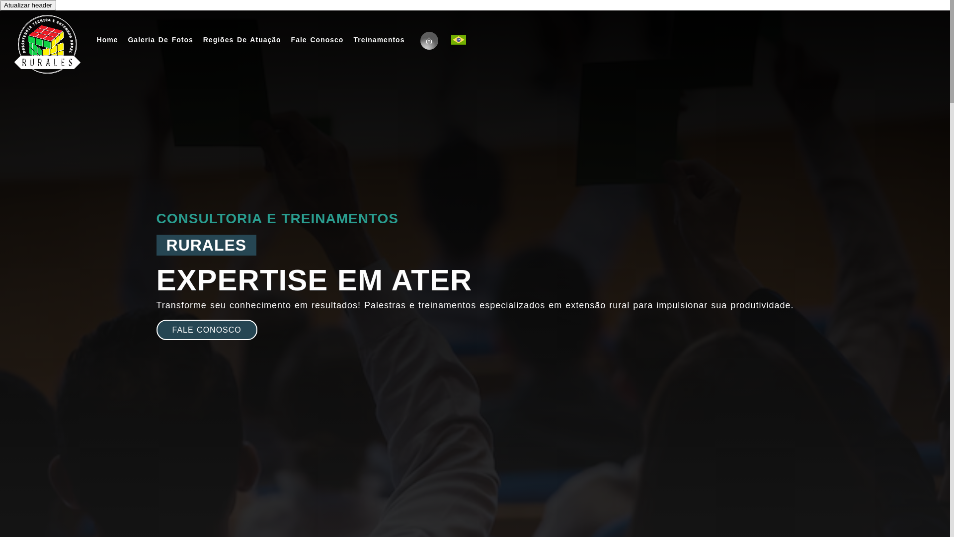 website screenshot of https://ruralesater.com.br/