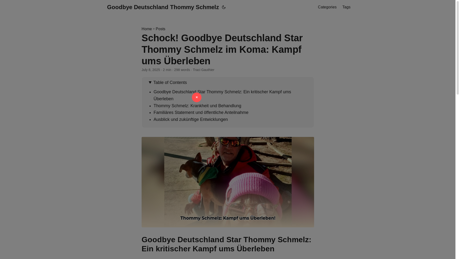 website screenshot of https://goodbye-deutschland-thommy-schmelz.pages.dev/