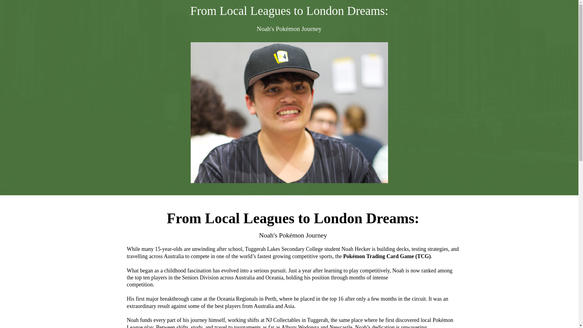 website screenshot of https://noahspokemonjourney.com/