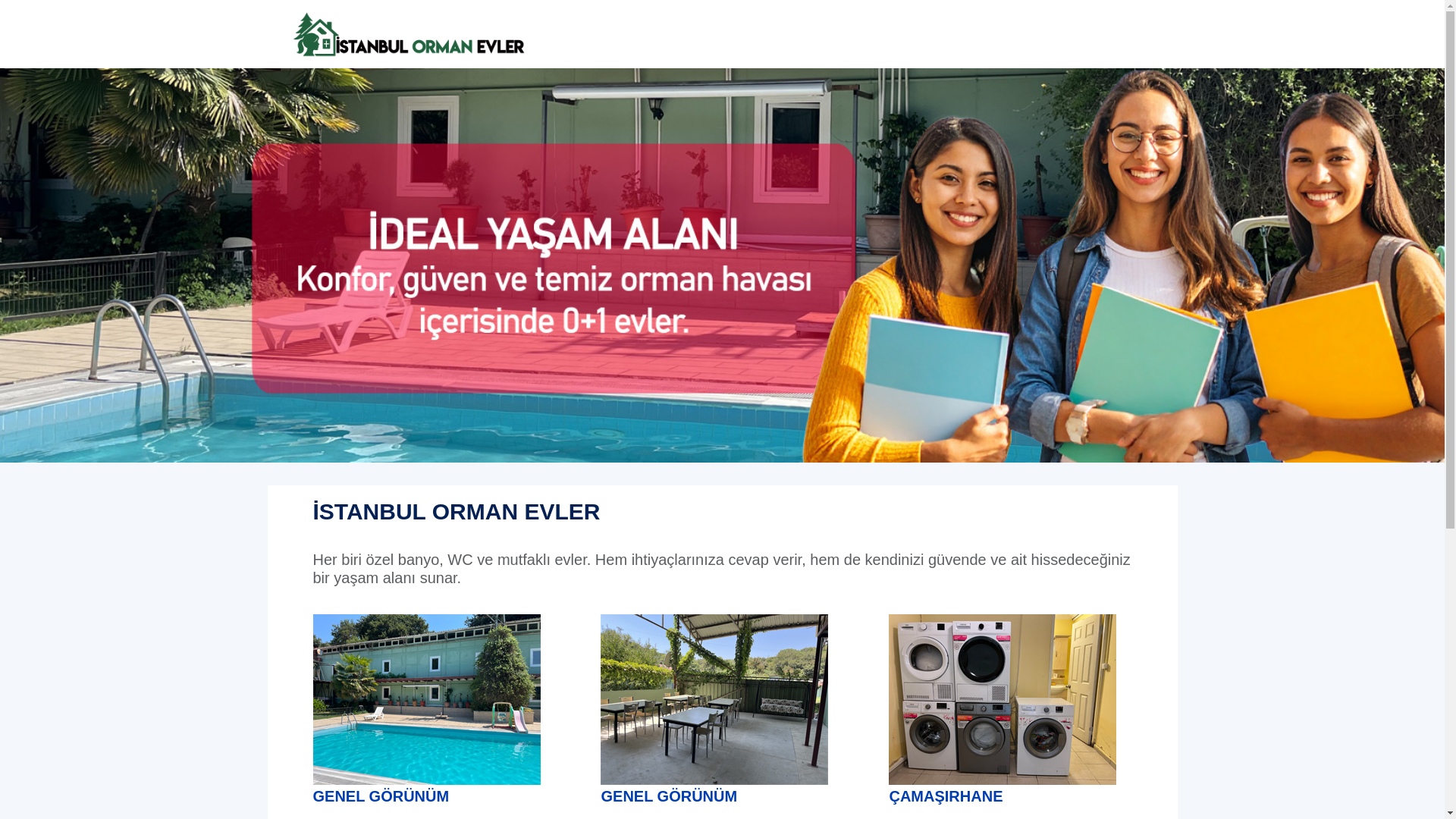 website screenshot of https://ormanevler.com/