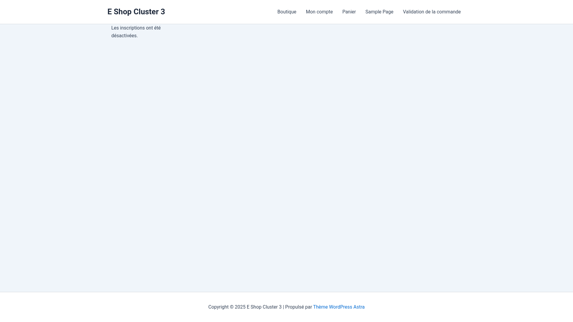 website screenshot of https://lebateaugonflable.fr/