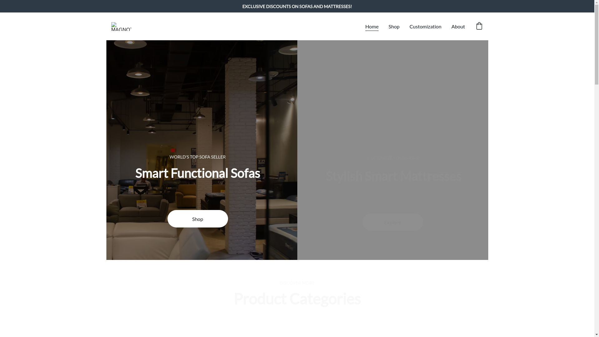 website screenshot of https://magnottaaer.com/