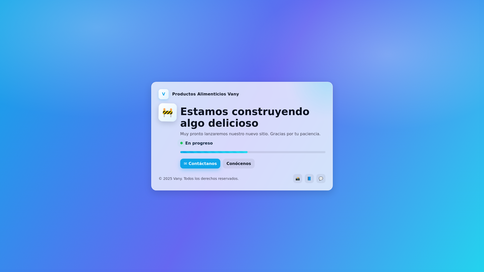 website screenshot of https://productosalimenticiosvany.cl/