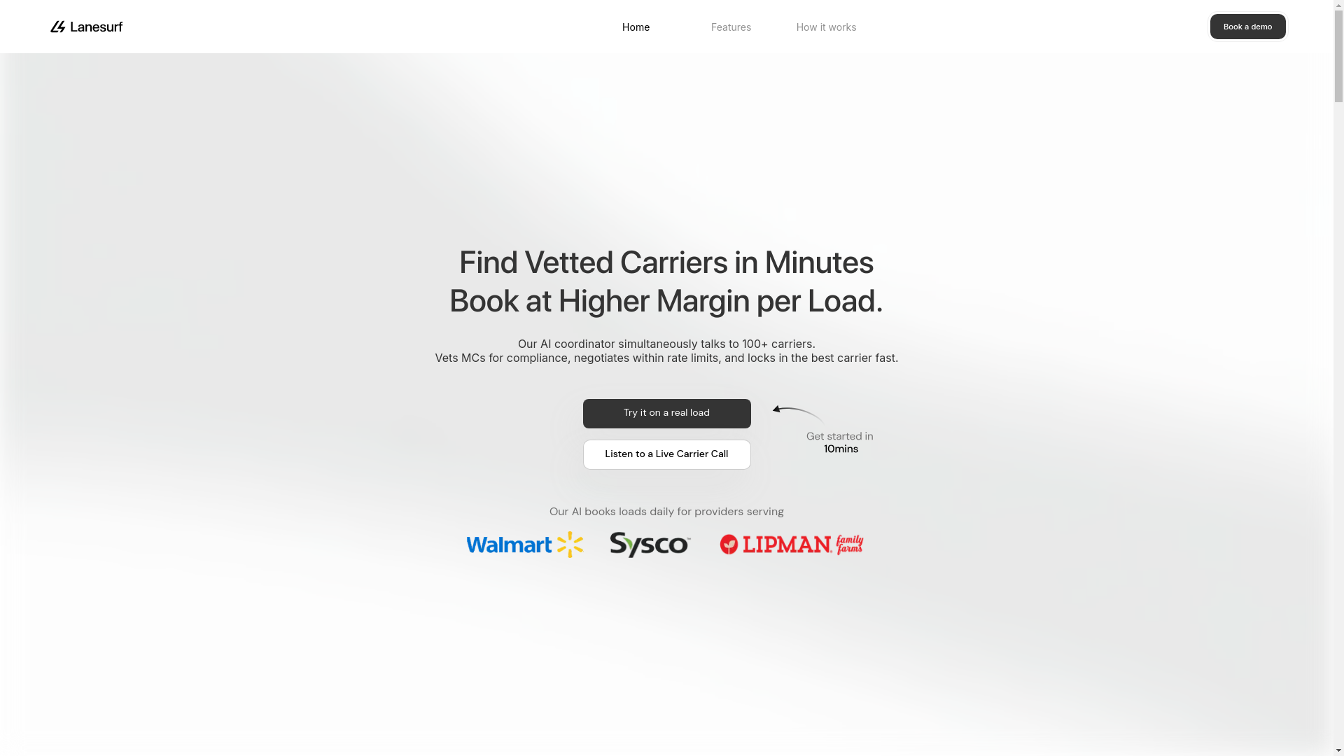 website screenshot of https://lanesurf.buzz/