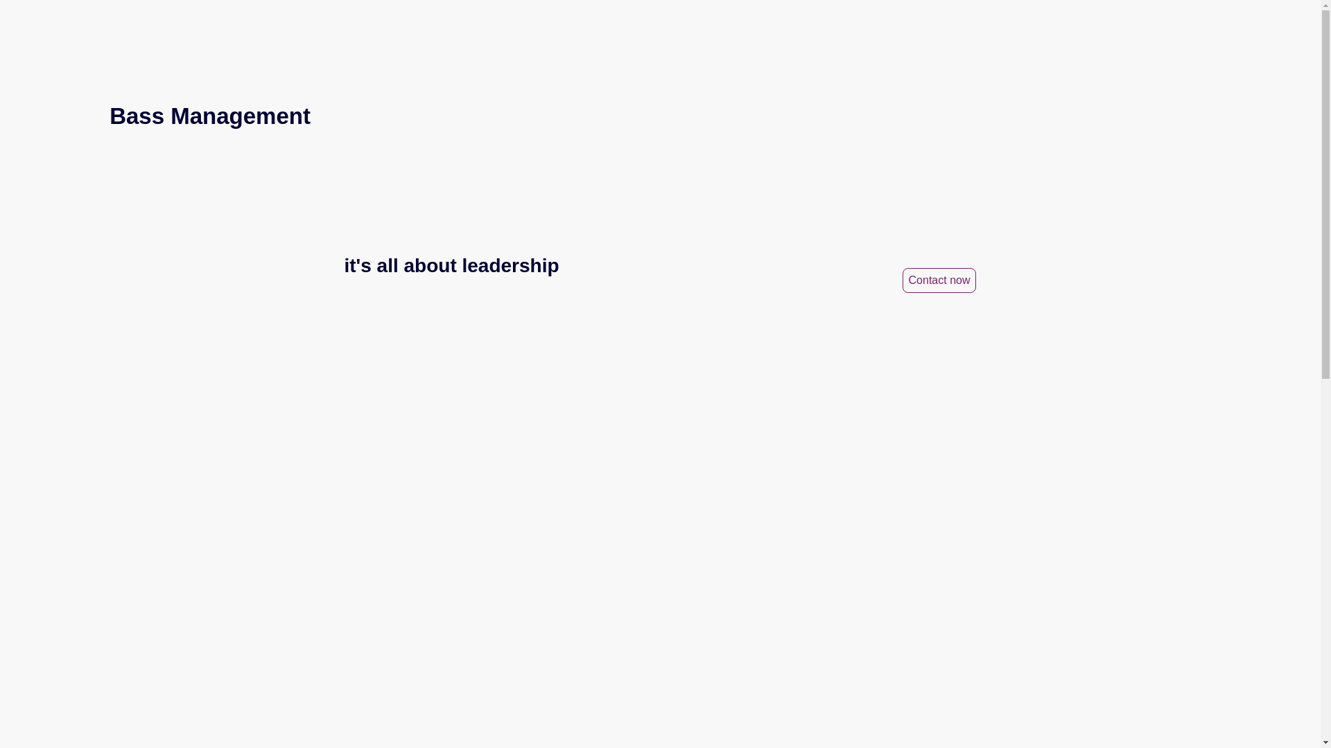 website screenshot of https://bassmanagement.de/