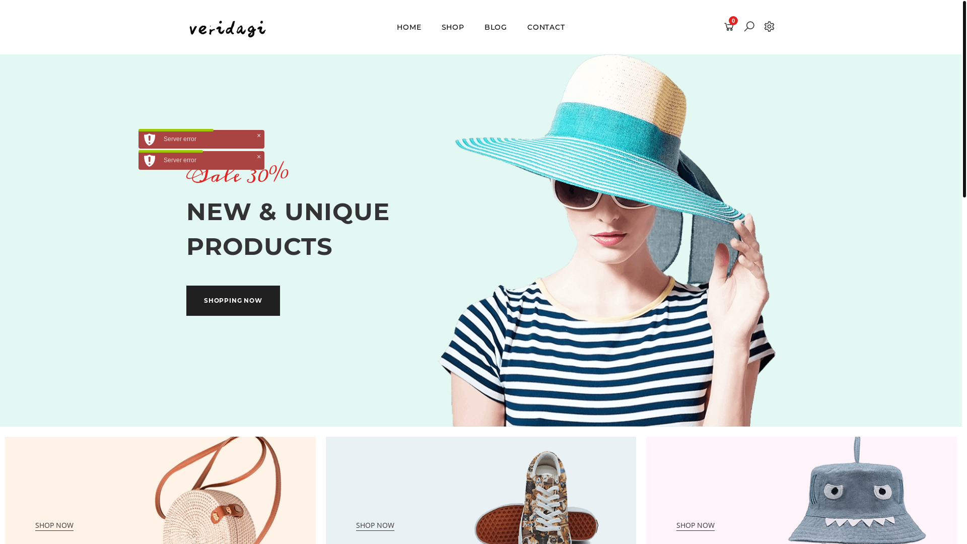 website screenshot of https://veridagi.pages.dev/