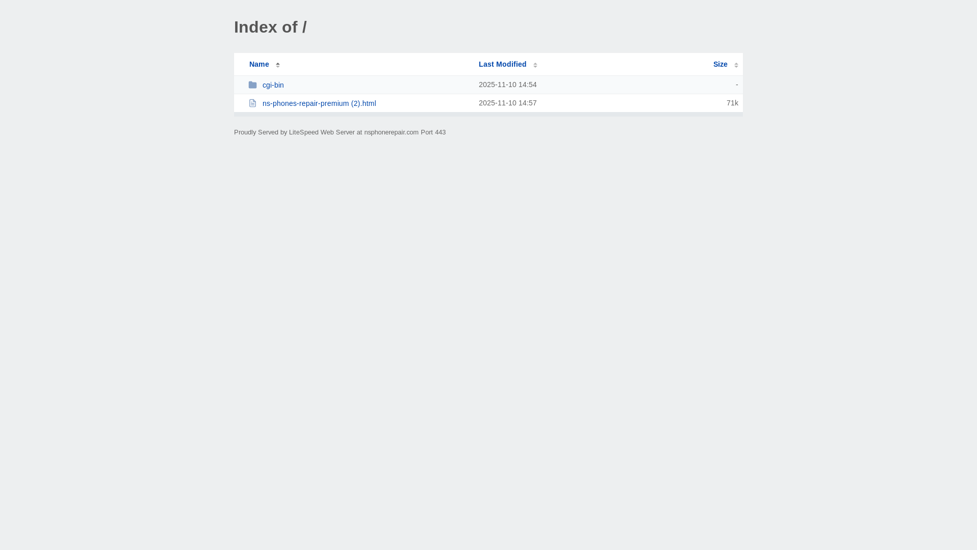 website screenshot of https://nsphonerepair.com/