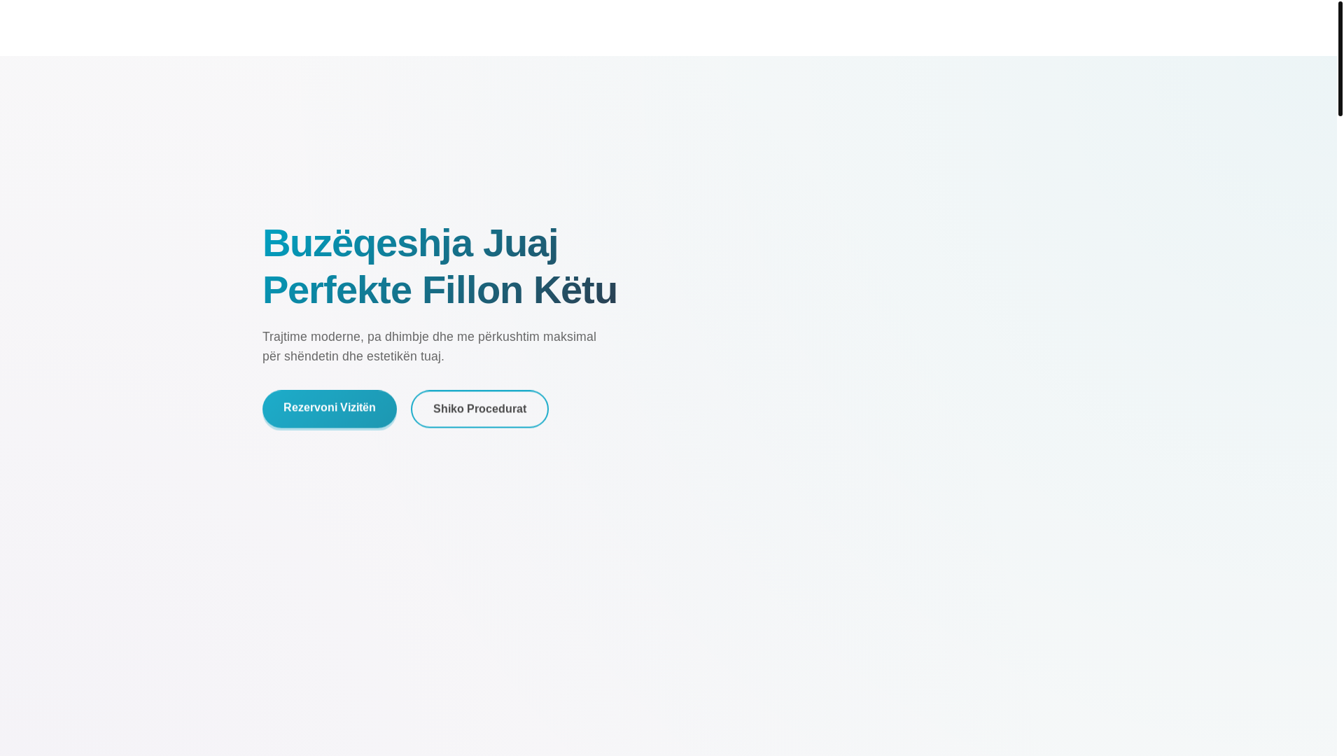 website screenshot of https://brisident.pages.dev/