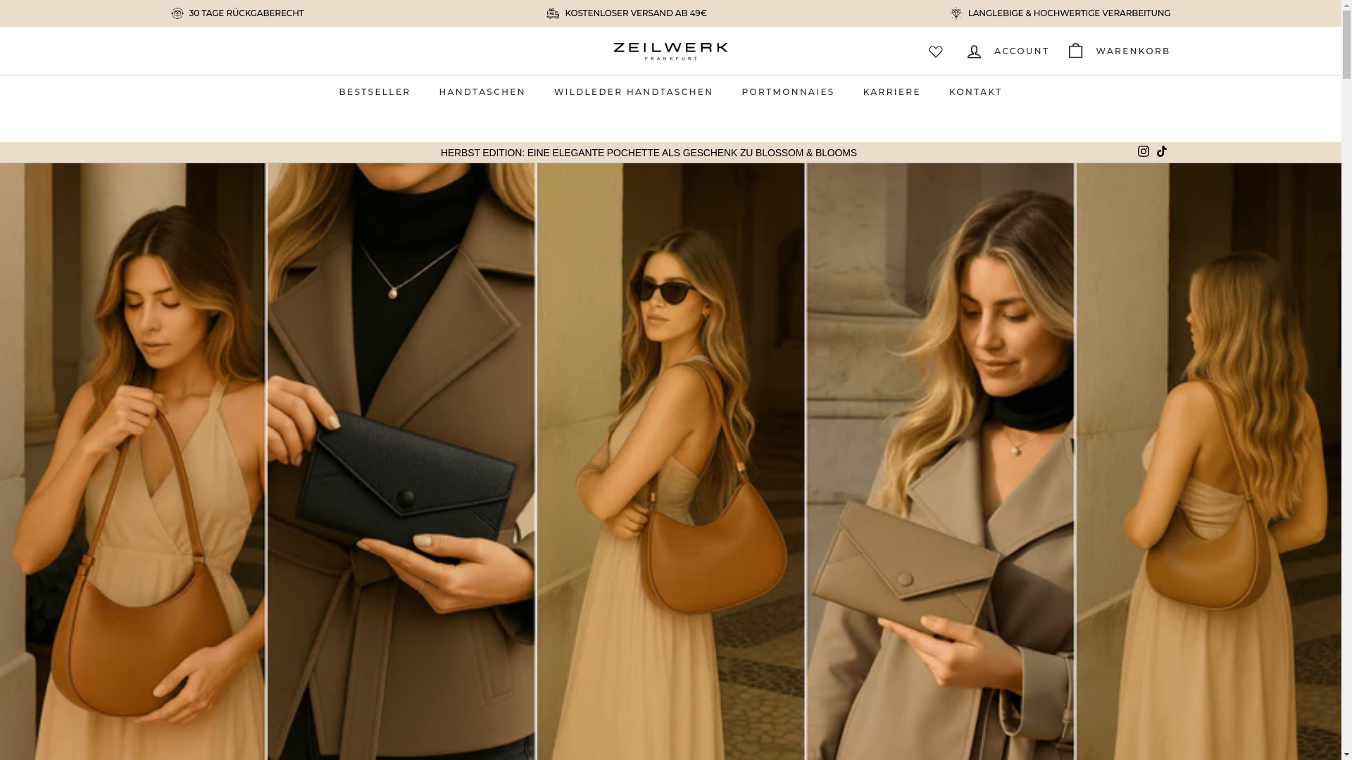 website screenshot of https://zeilare.com/