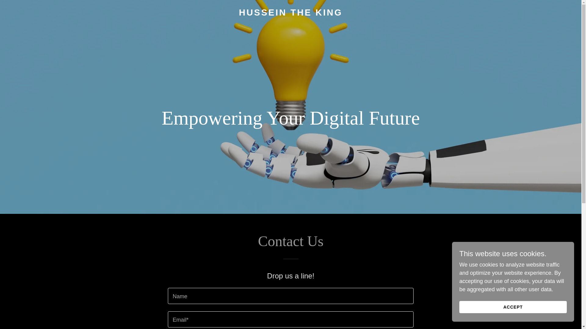 website screenshot of https://husseintheking.com/