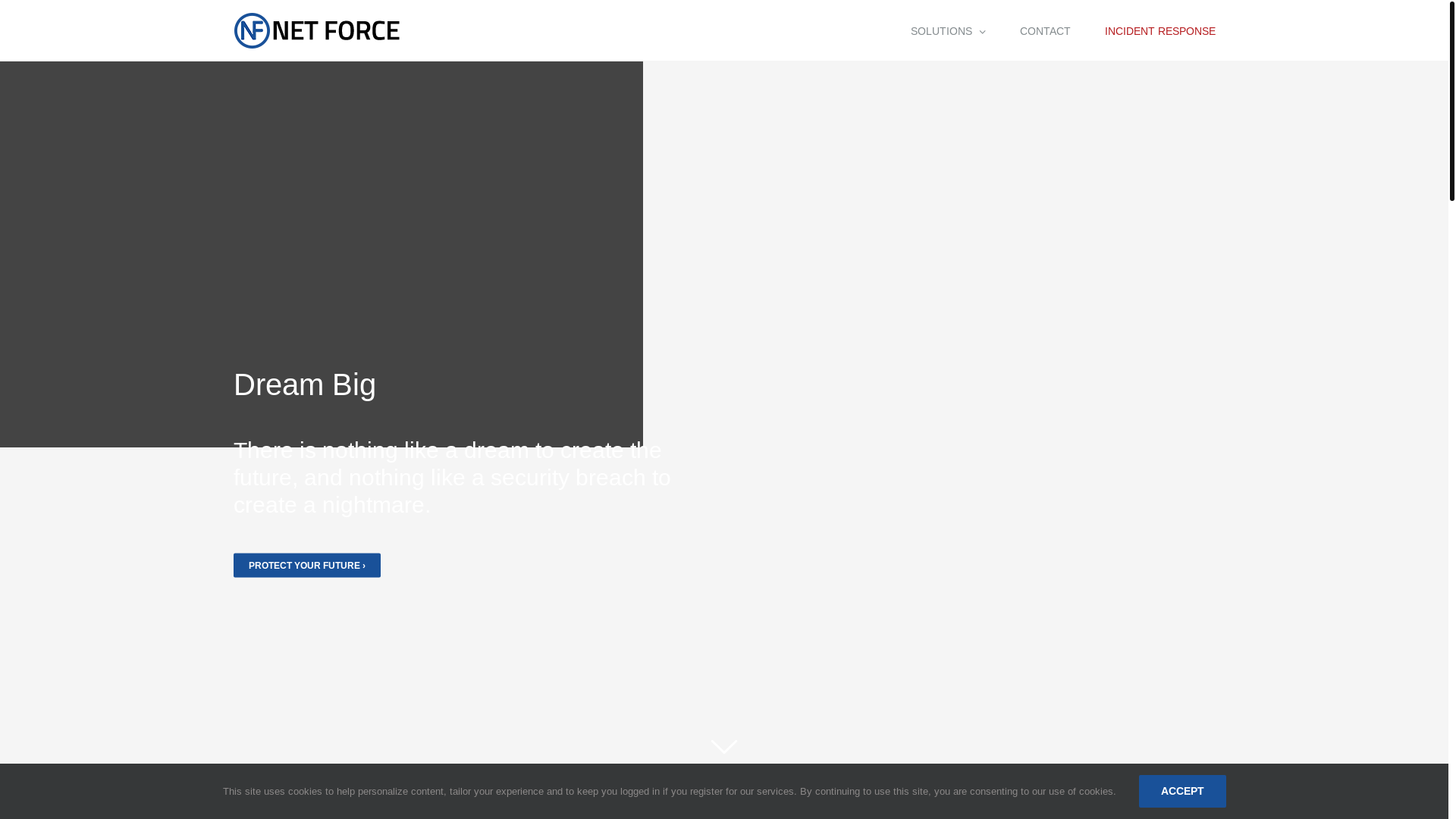 website screenshot of https://net-force.net/