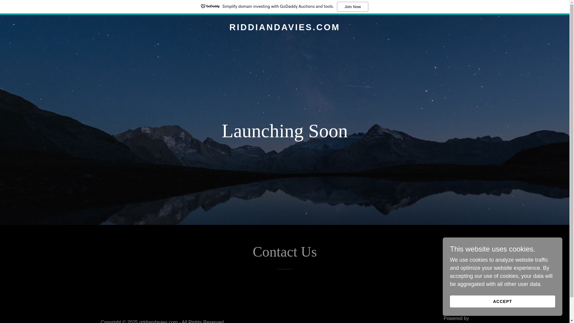 website screenshot of https://riddiandavies.com/