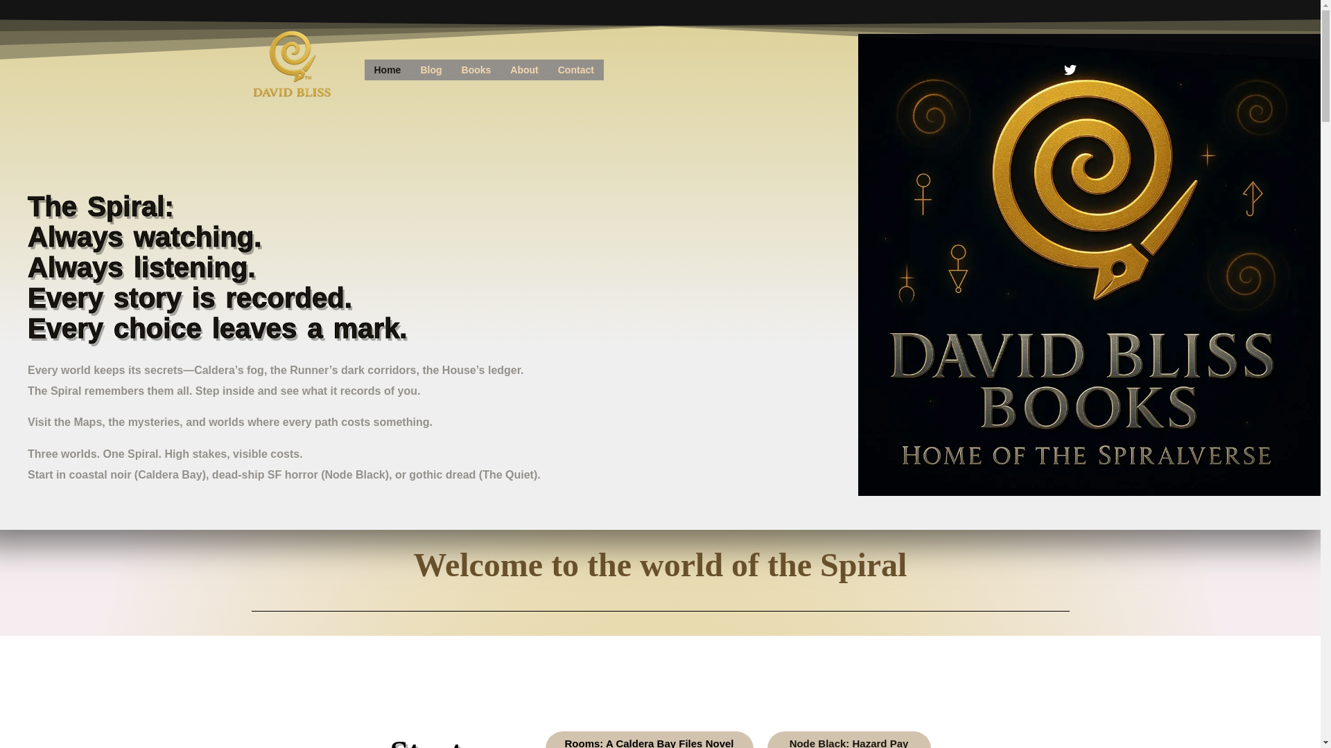 website screenshot of https://davidlbliss.com/