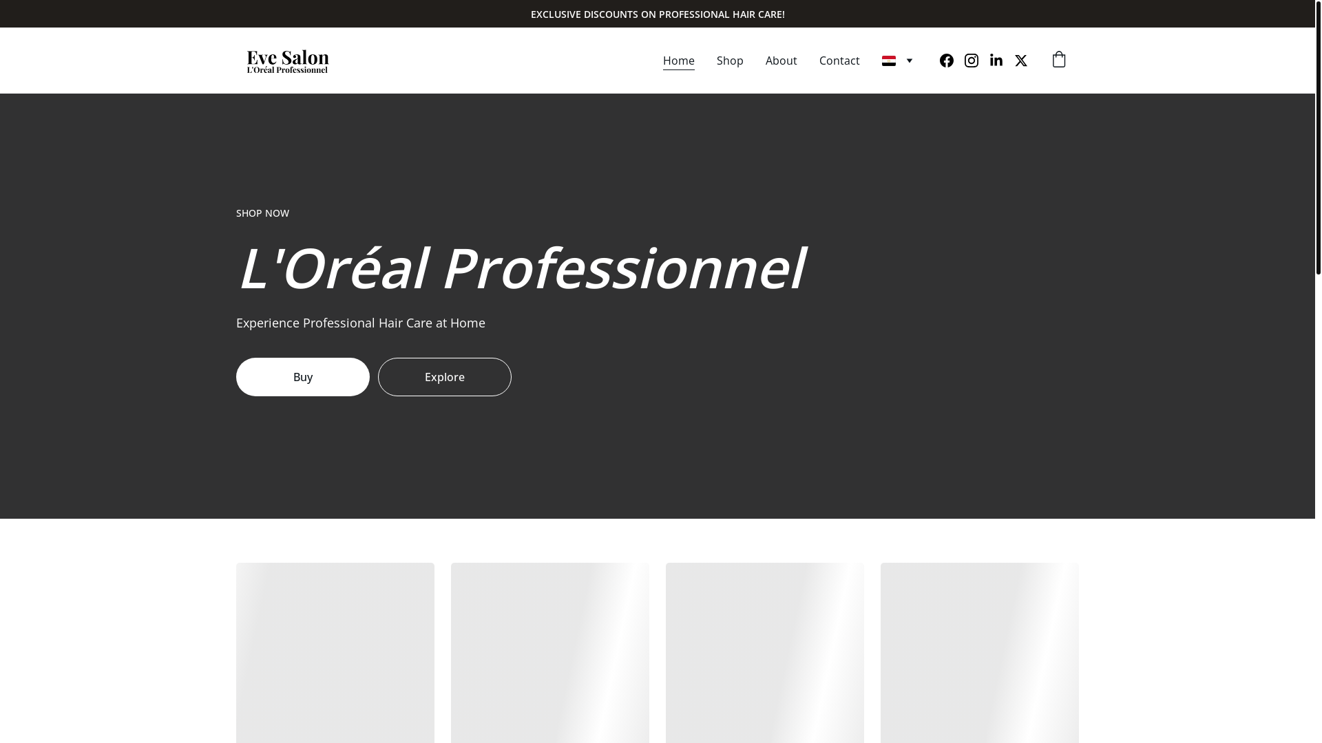 website screenshot of https://evesalon.net/