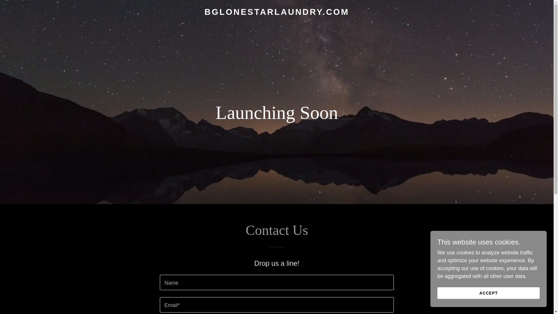 website screenshot of https://bglonestarlaundry.com/
