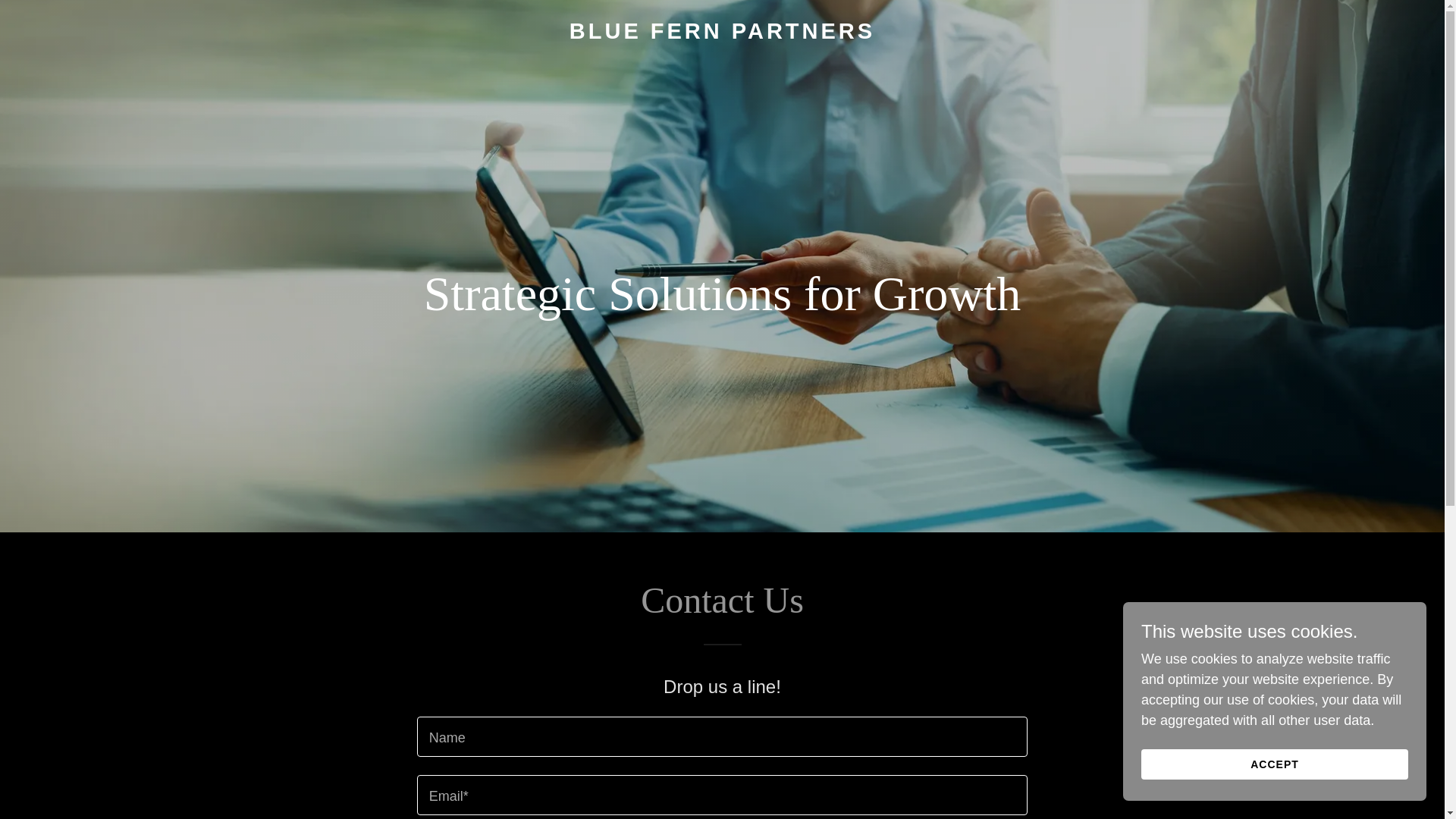 website screenshot of https://bluefernpartners.com/