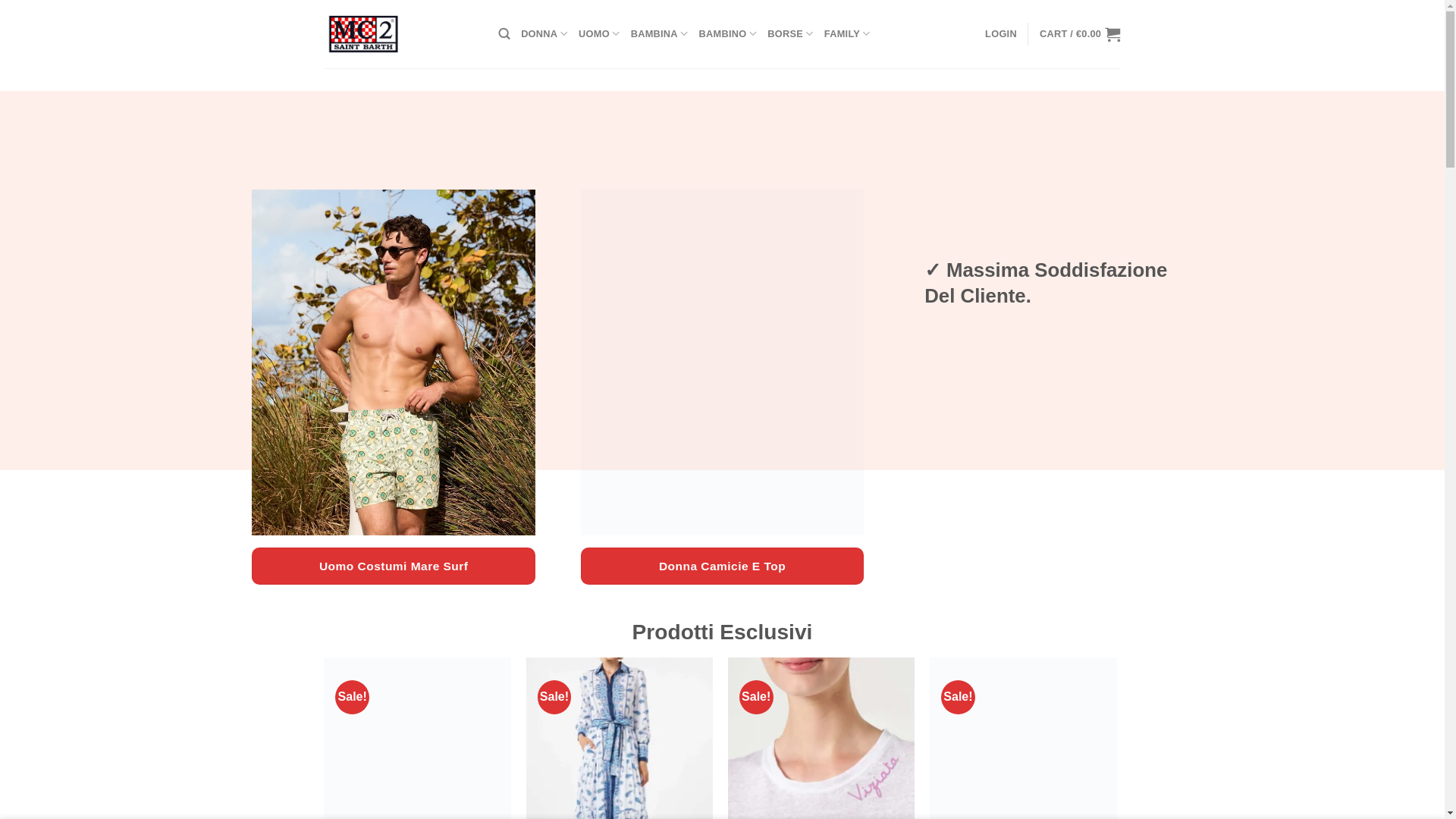 website screenshot of https://mc2saint.com/