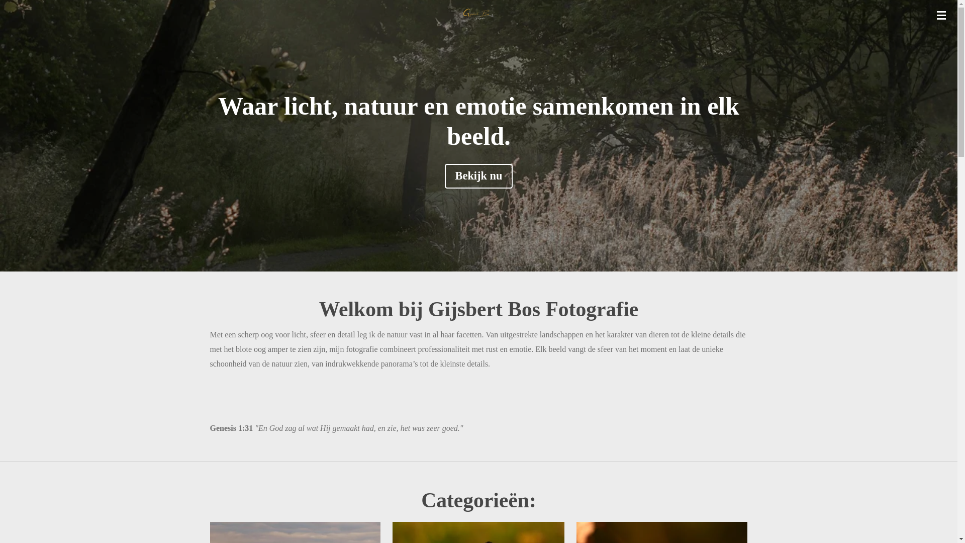 website screenshot of https://gijsbertbosfotografie.nl/