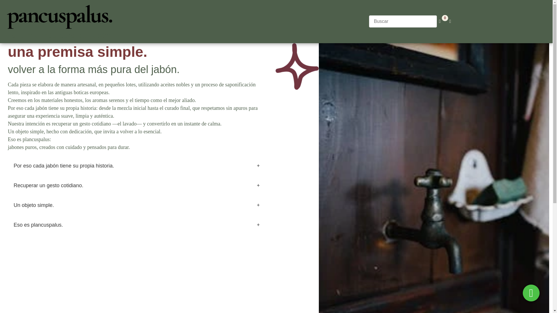 website screenshot of https://pancuspalus.online/