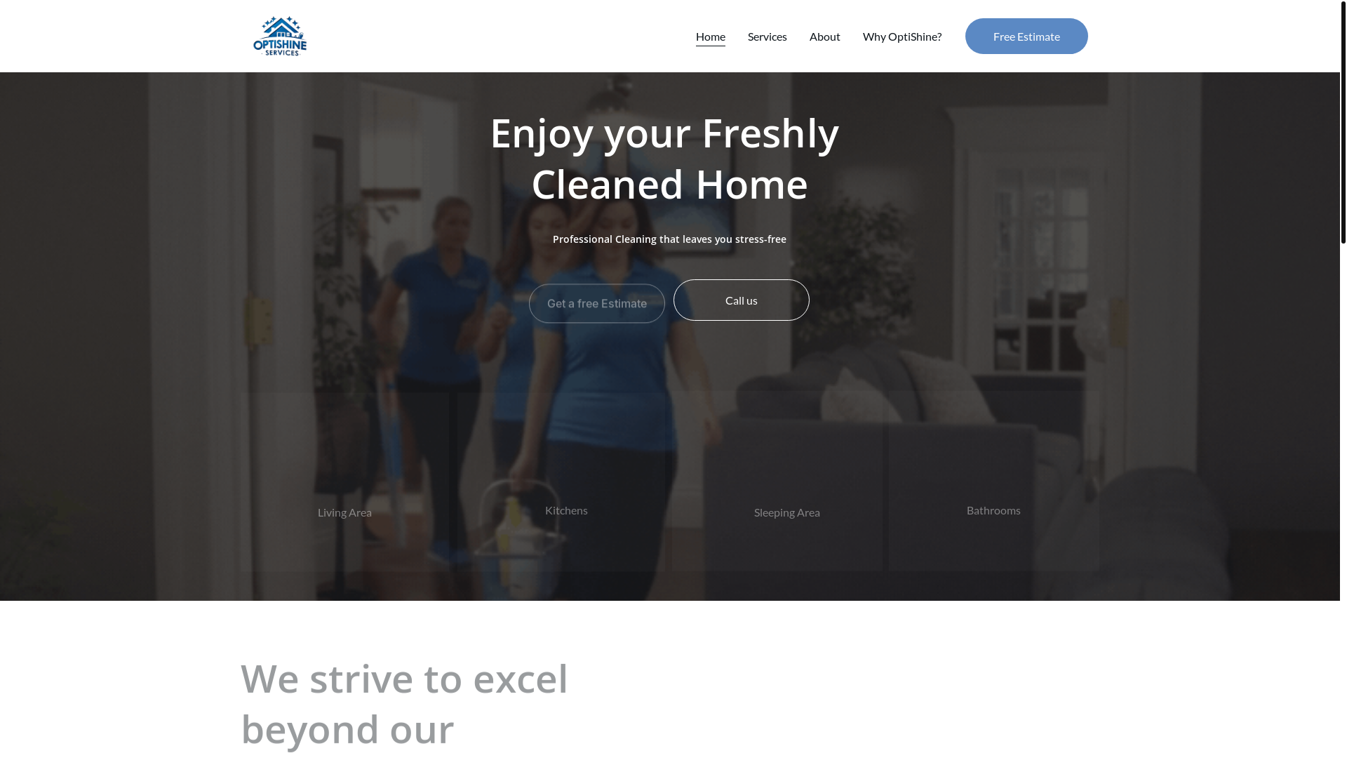 website screenshot of https://optishineservices.com/