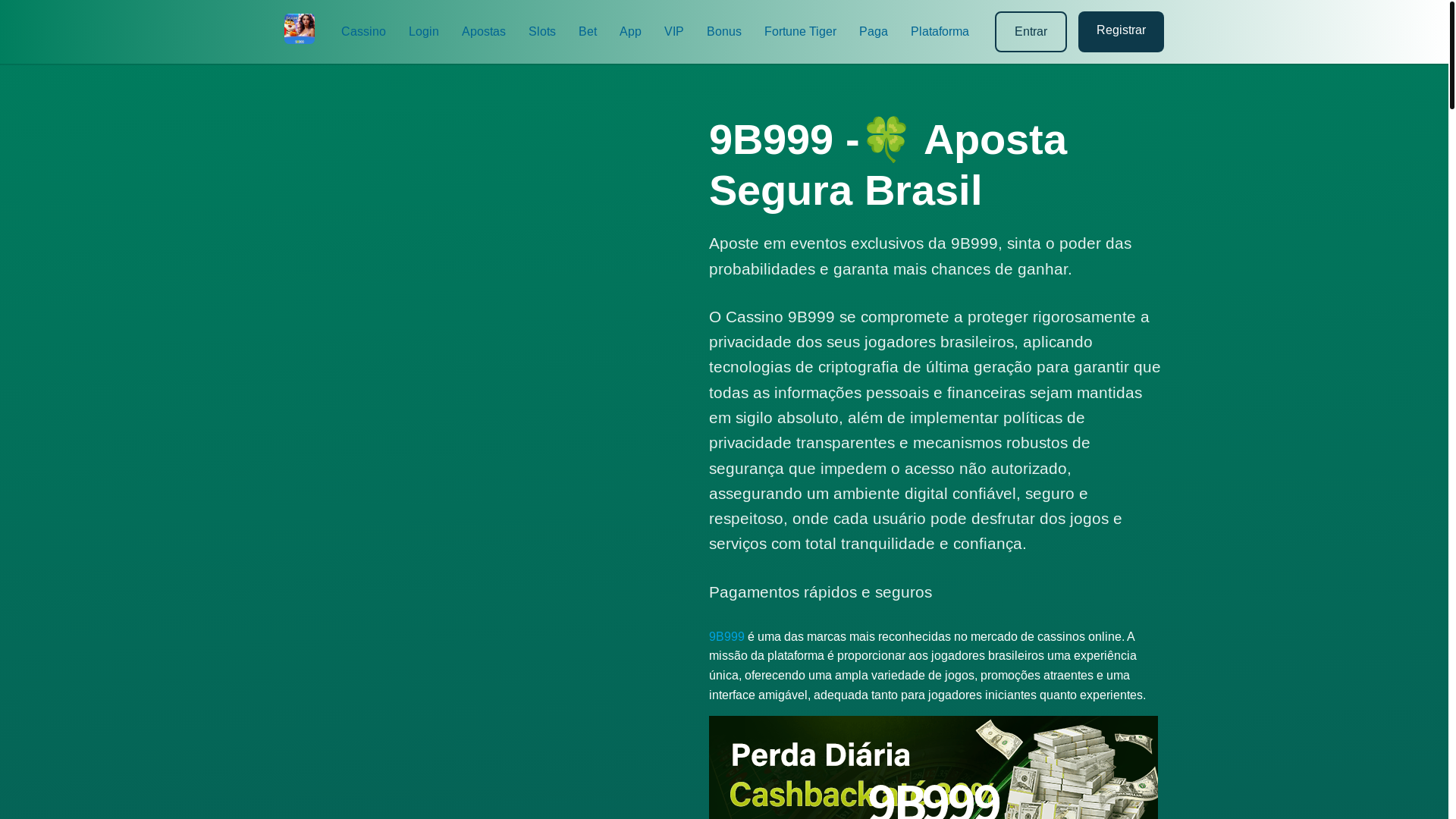 website screenshot of https://9b999-navi.com/