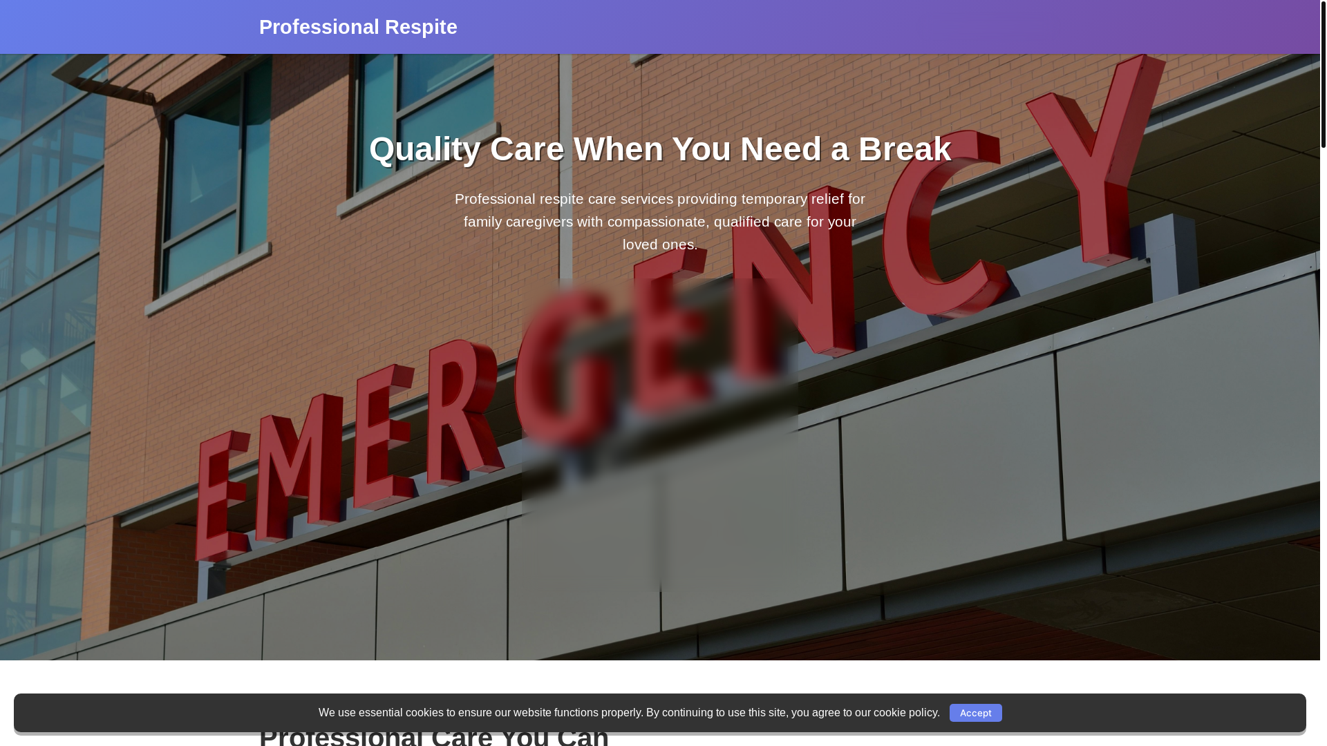 website screenshot of https://professionalrespite.live/