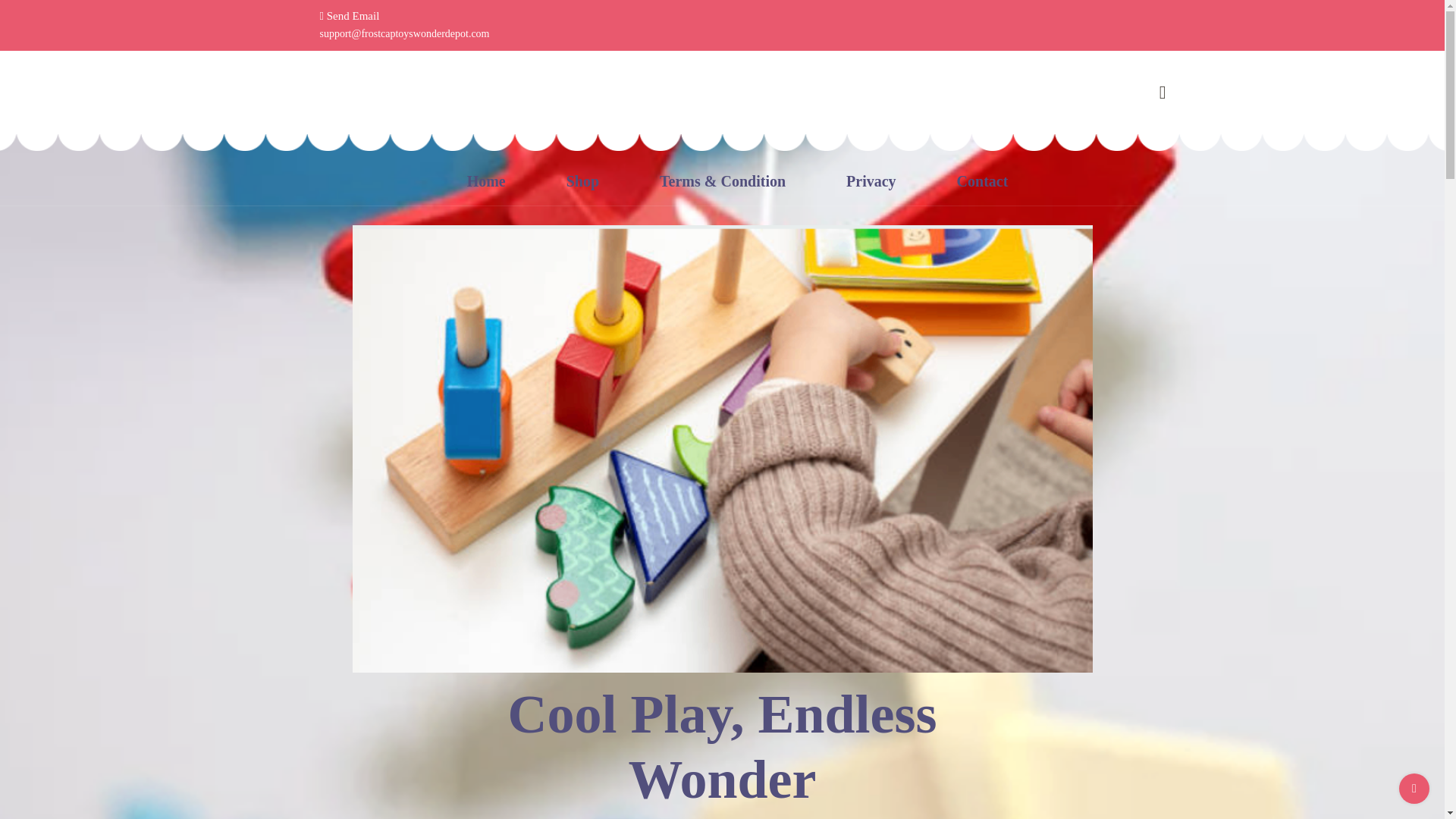 website screenshot of https://frostcaptoyswonderdepot.com/