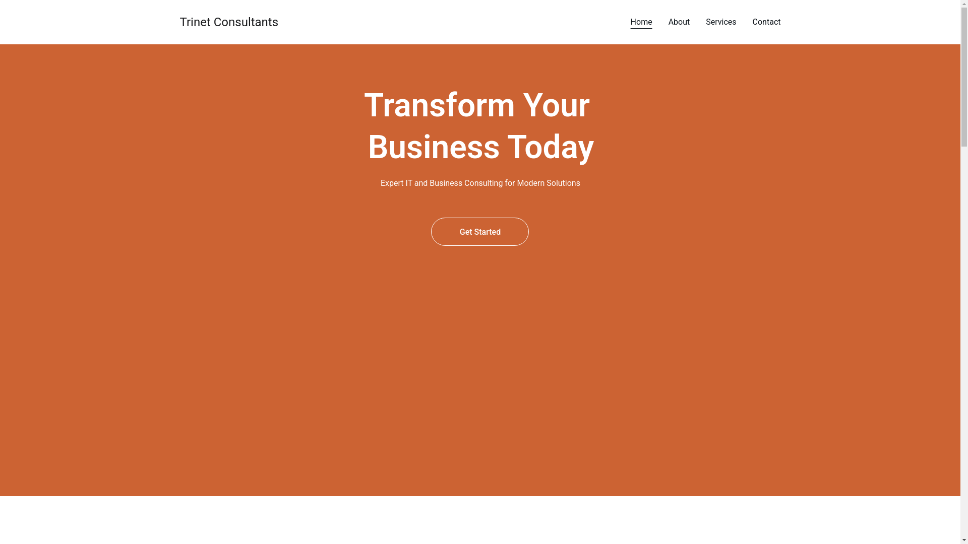 website screenshot of https://trinetconsultants.in/