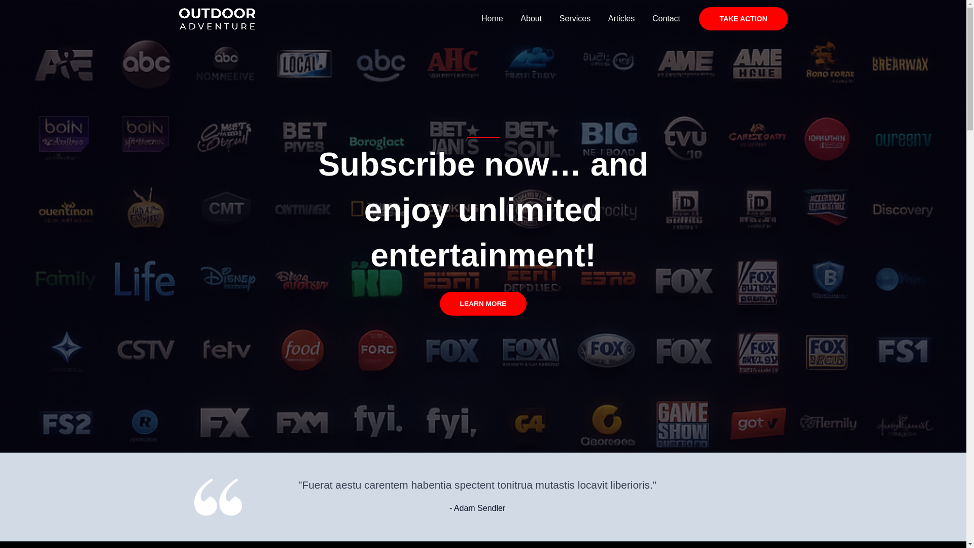website screenshot of https://tvsmarters.live/
