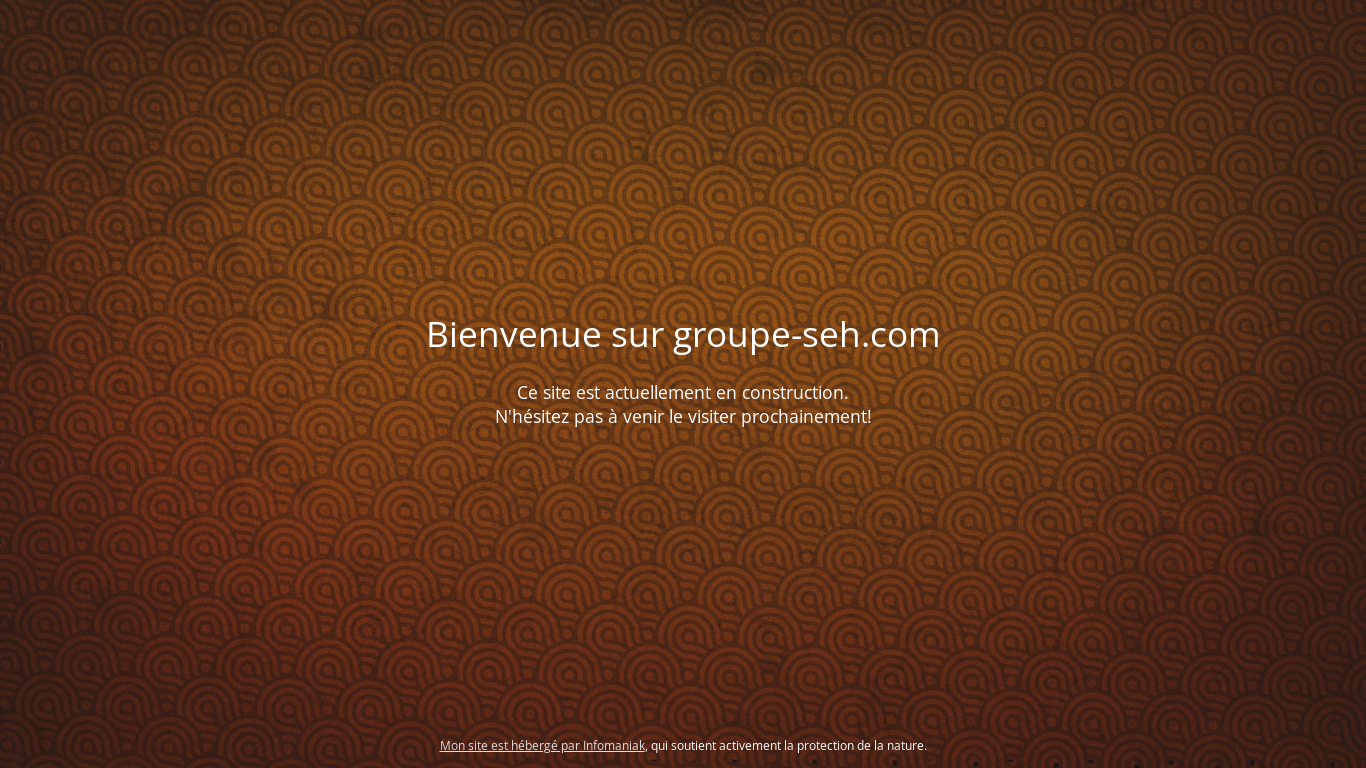 website screenshot of https://groupe-seh.com/