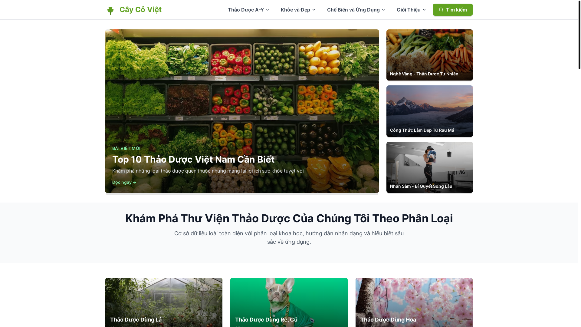 website screenshot of https://caycoviet.com/