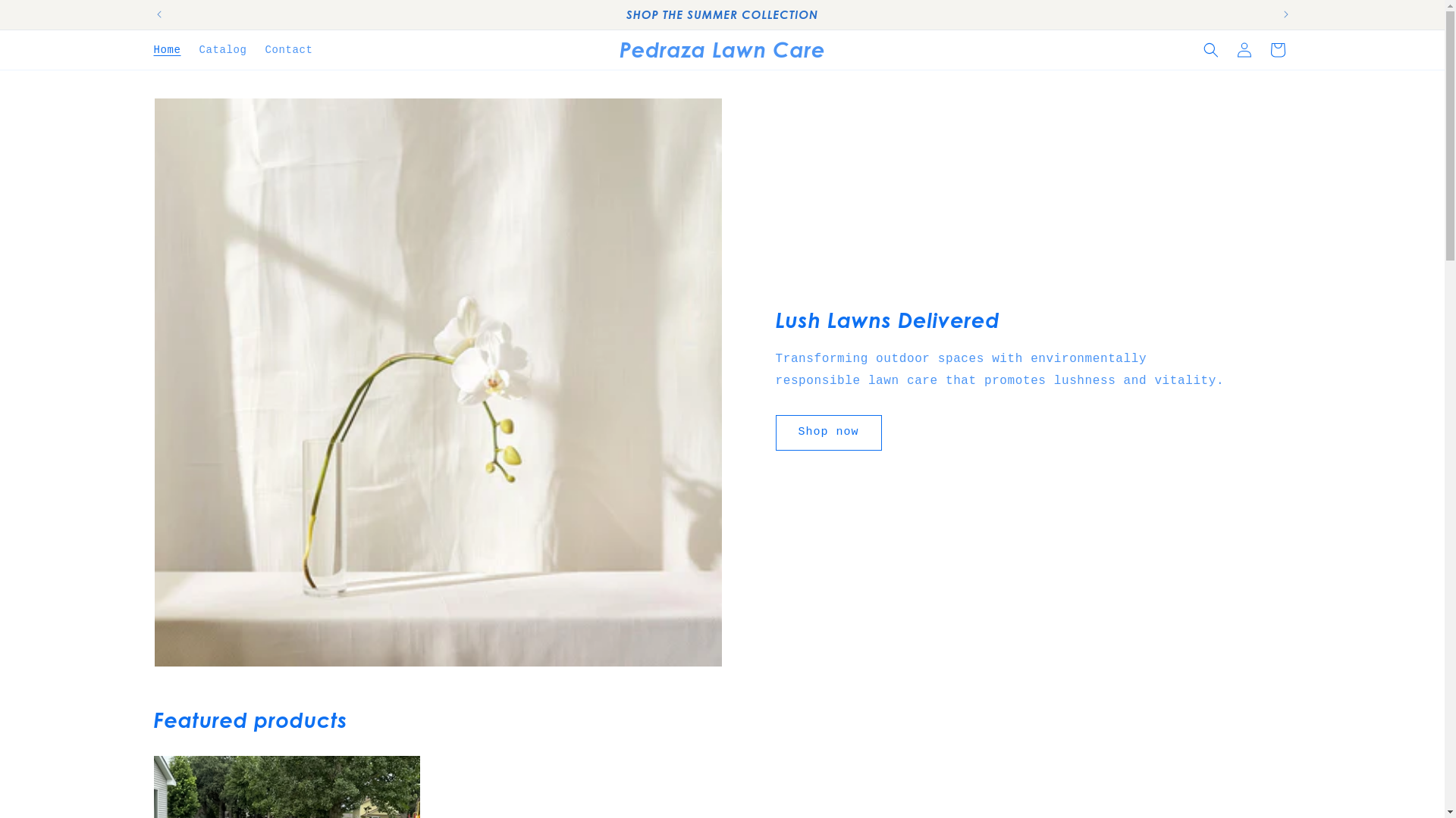website screenshot of https://pedrazalawn.com/