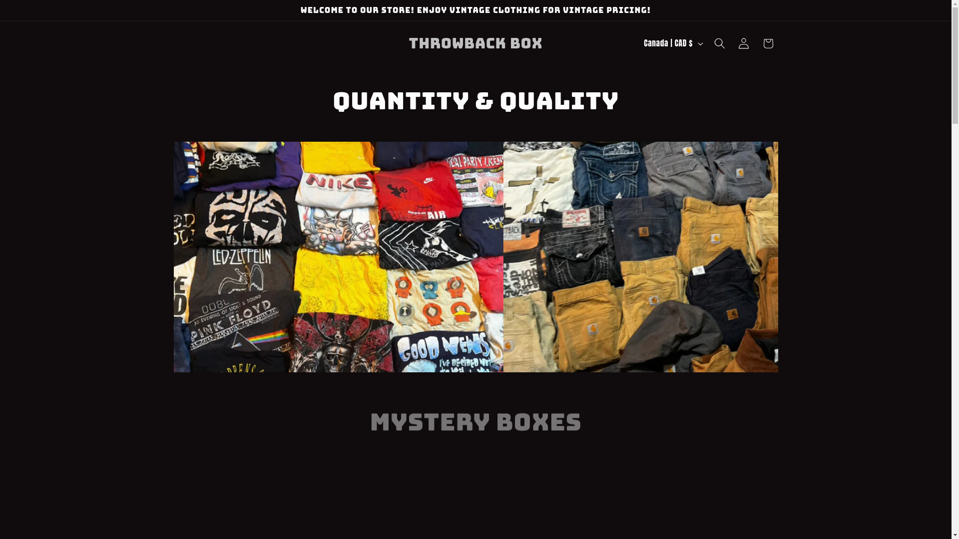 website screenshot of https://thethrowbackbox.com/