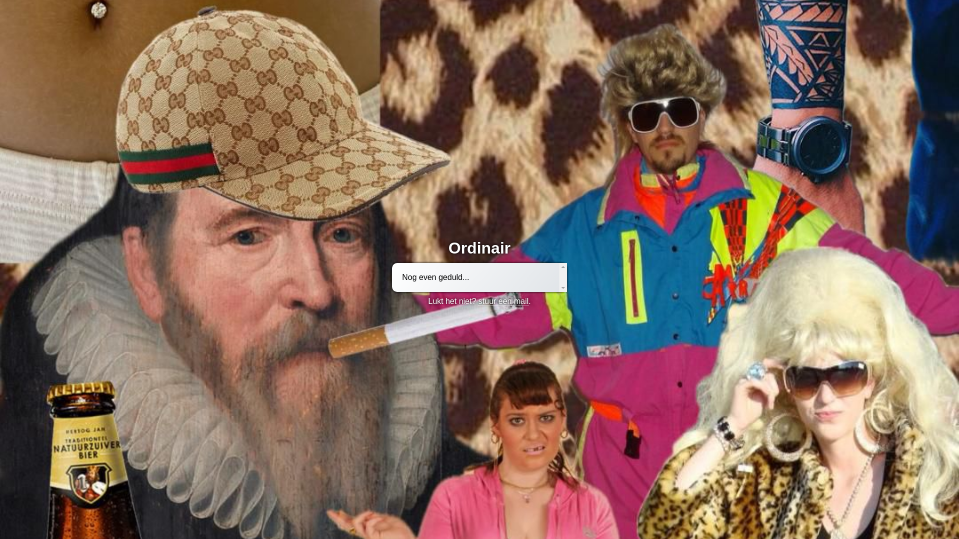 website screenshot of https://stuntfeest.nl/