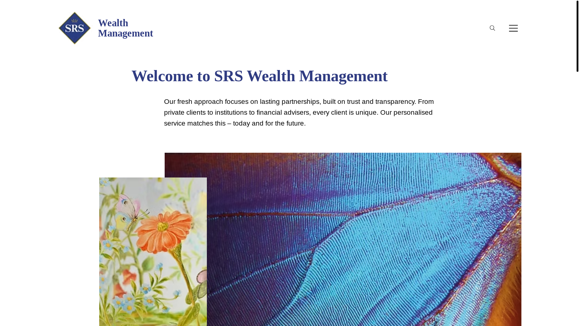 website screenshot of https://srs-investments.co.uk/