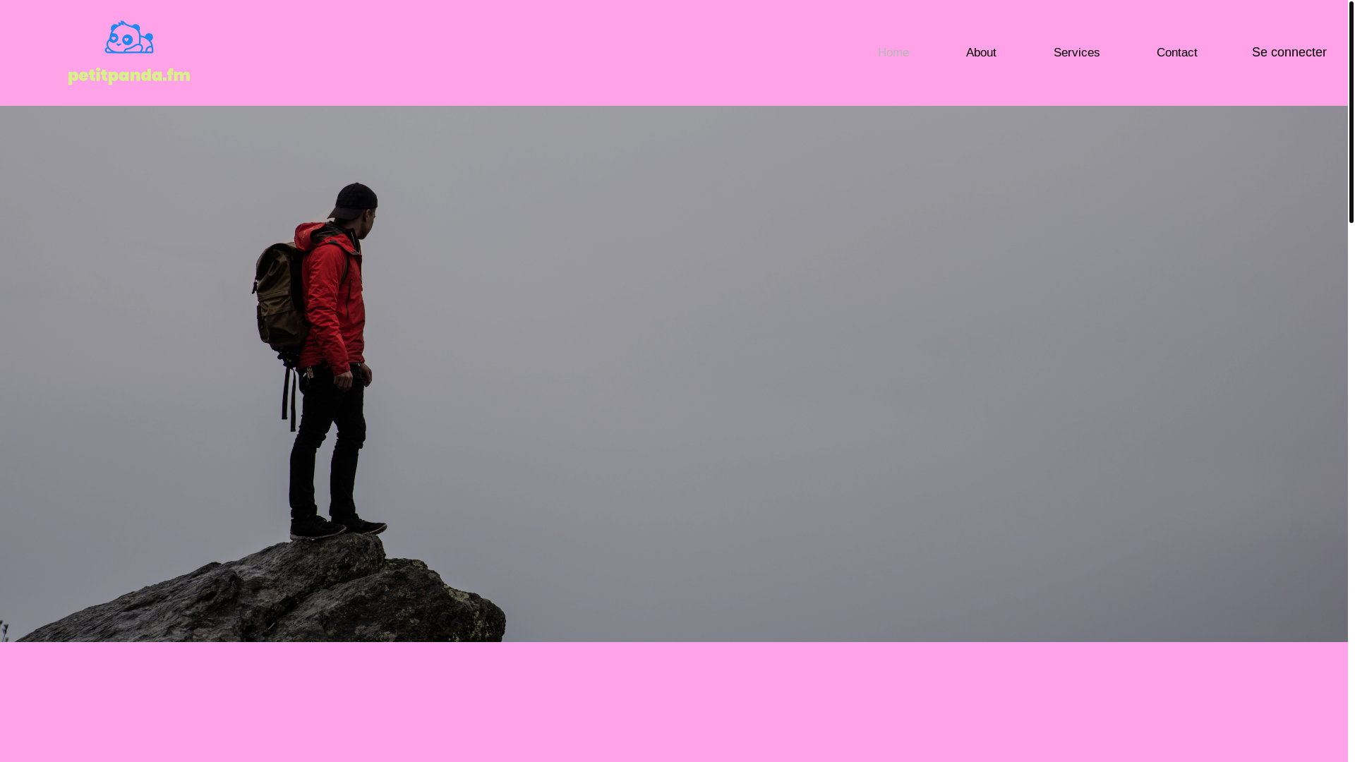 website screenshot of https://judithgaudin.com/