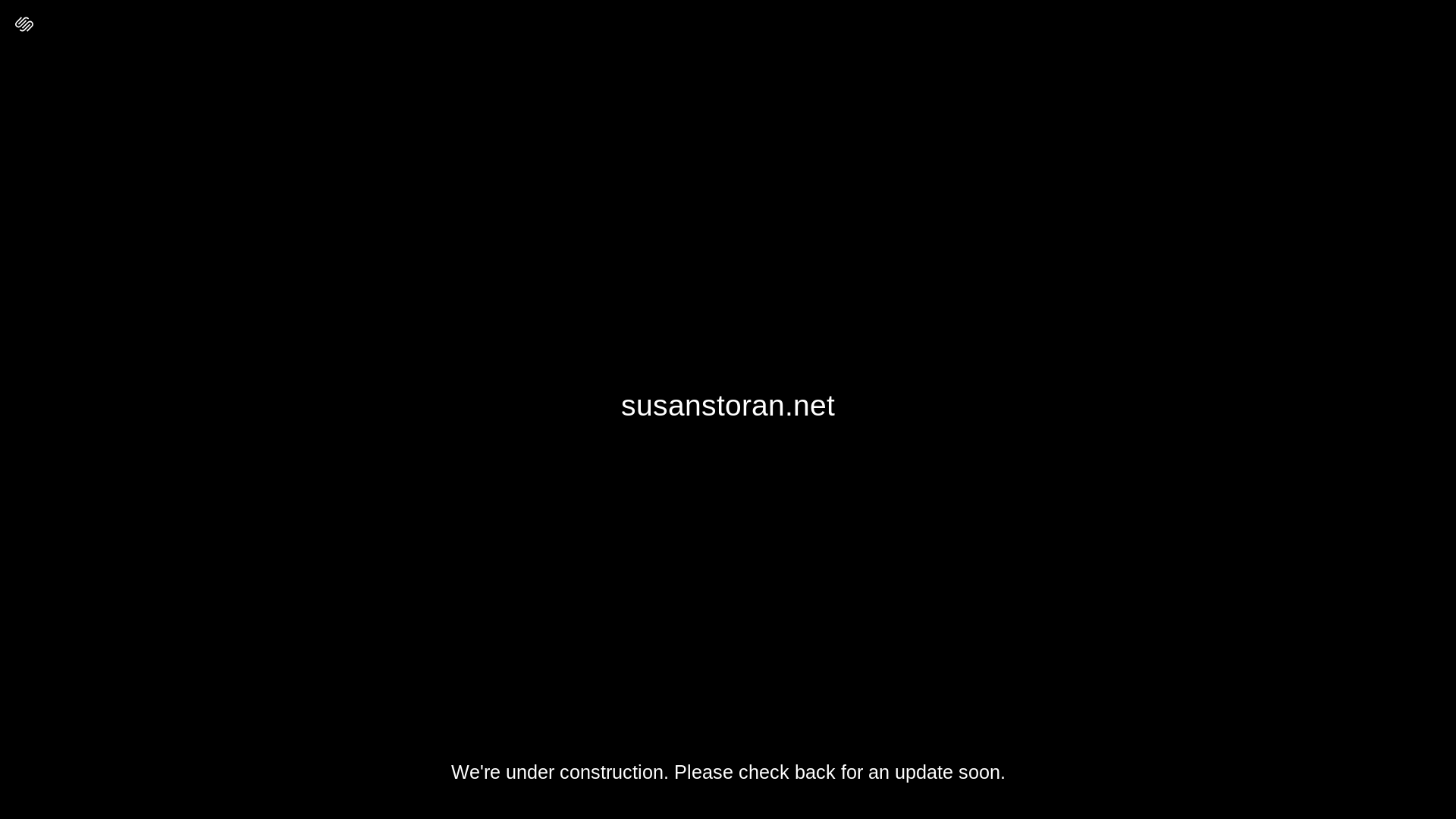 website screenshot of https://susanstoran.net/