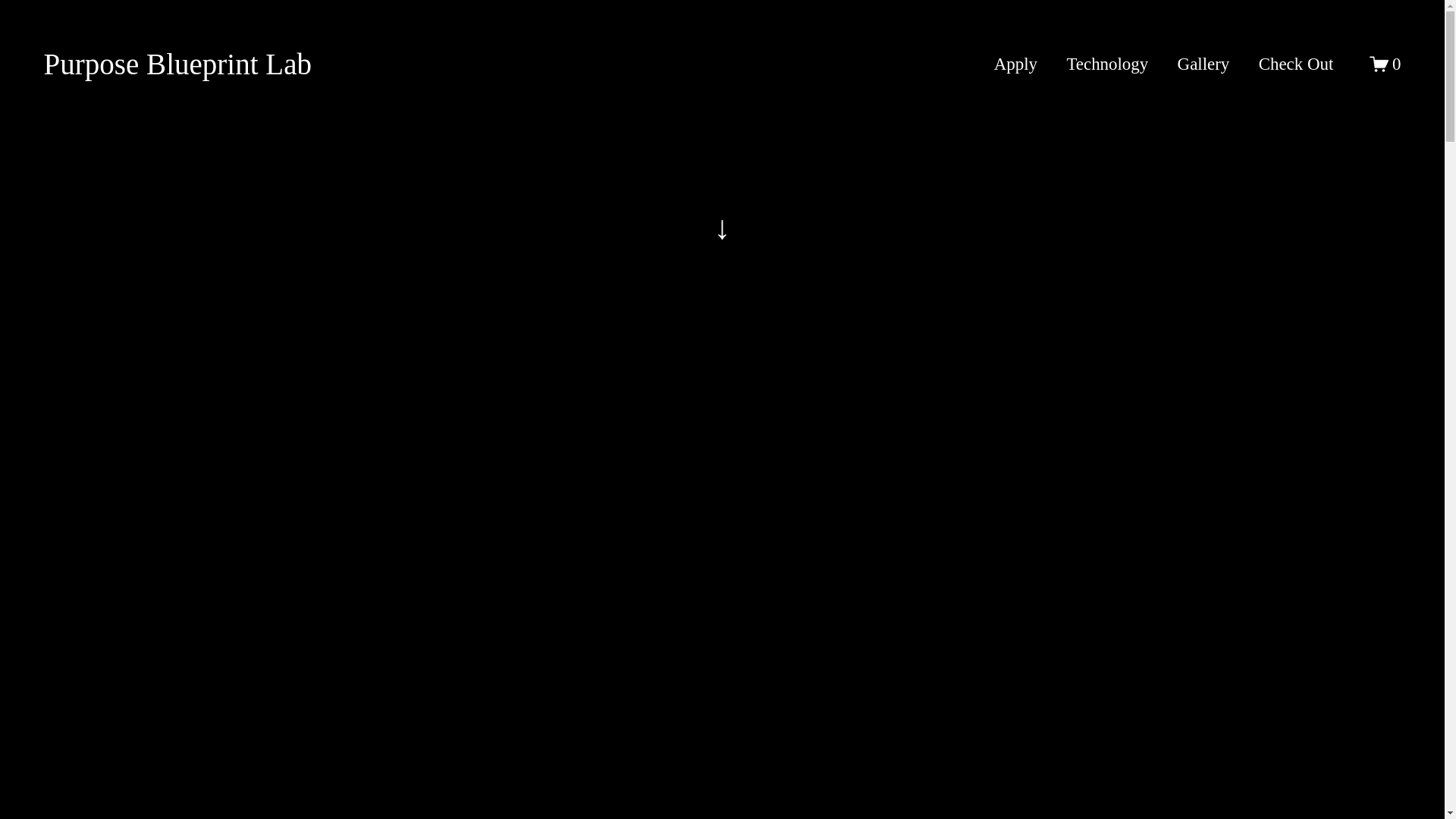 website screenshot of https://purposeblueprintlab.com/
