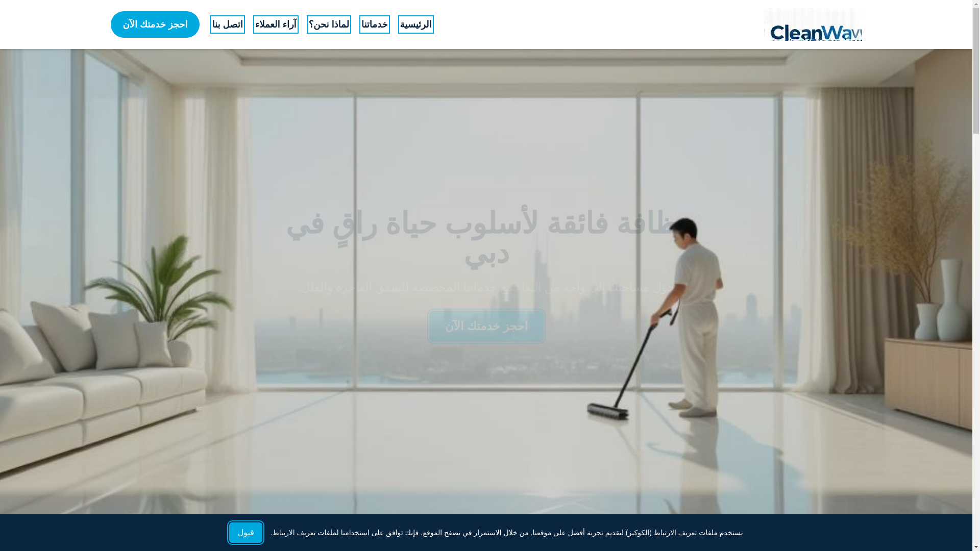 website screenshot of https://solviraka.info/