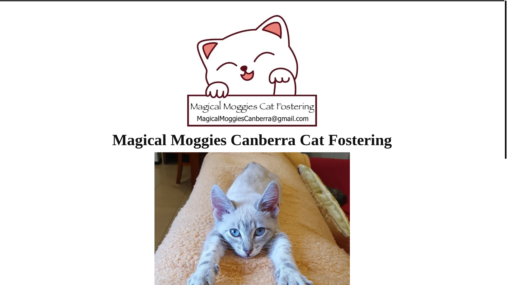 website screenshot of https://magicalmoggies.net/