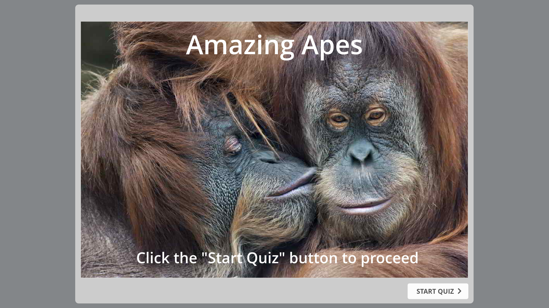 website screenshot of https://3b7b7e28-2c49-4f12-8c26-ceea7ea4ea35-qa.pages.dev/