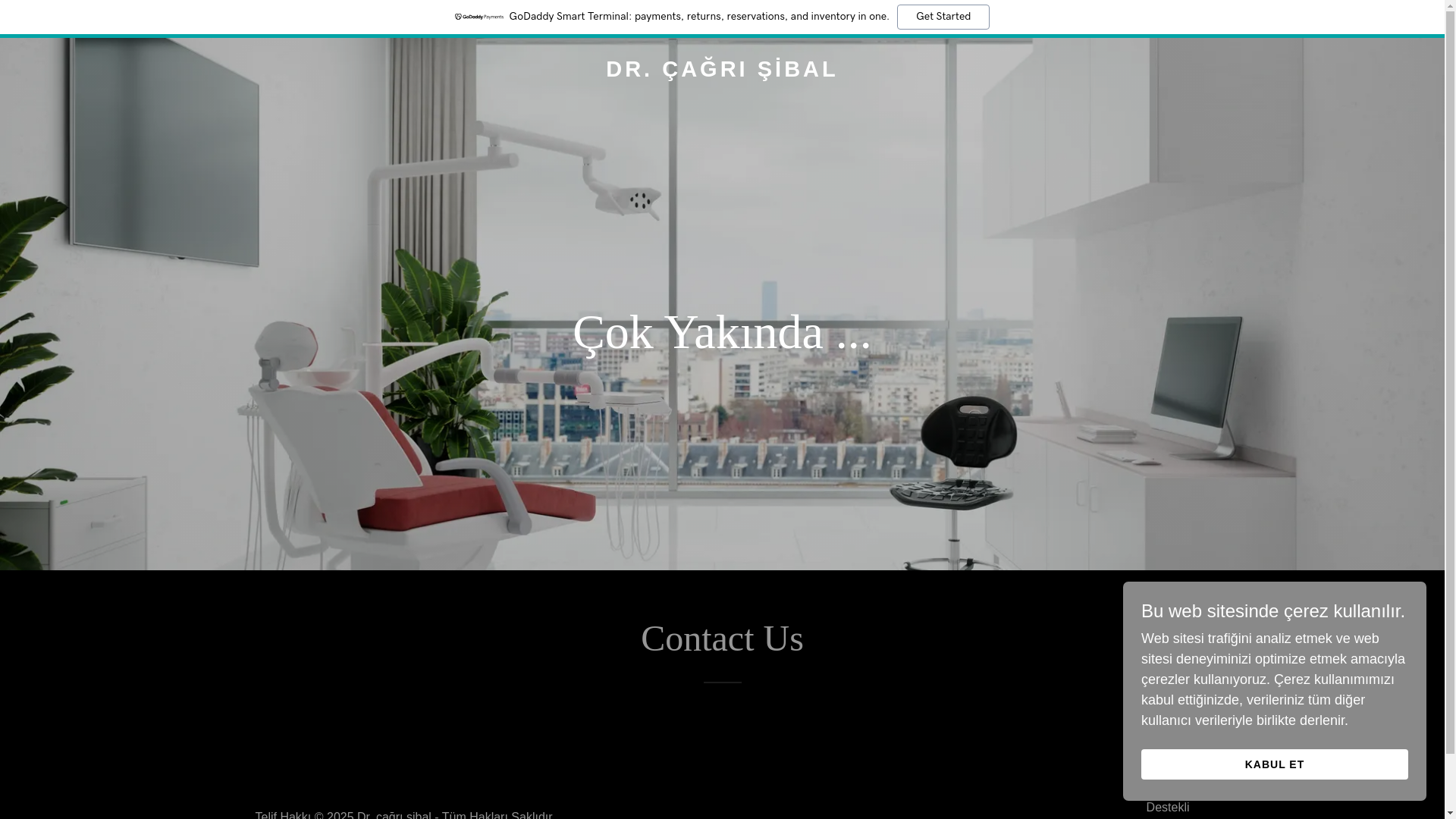 website screenshot of https://drcagrisibal.com/