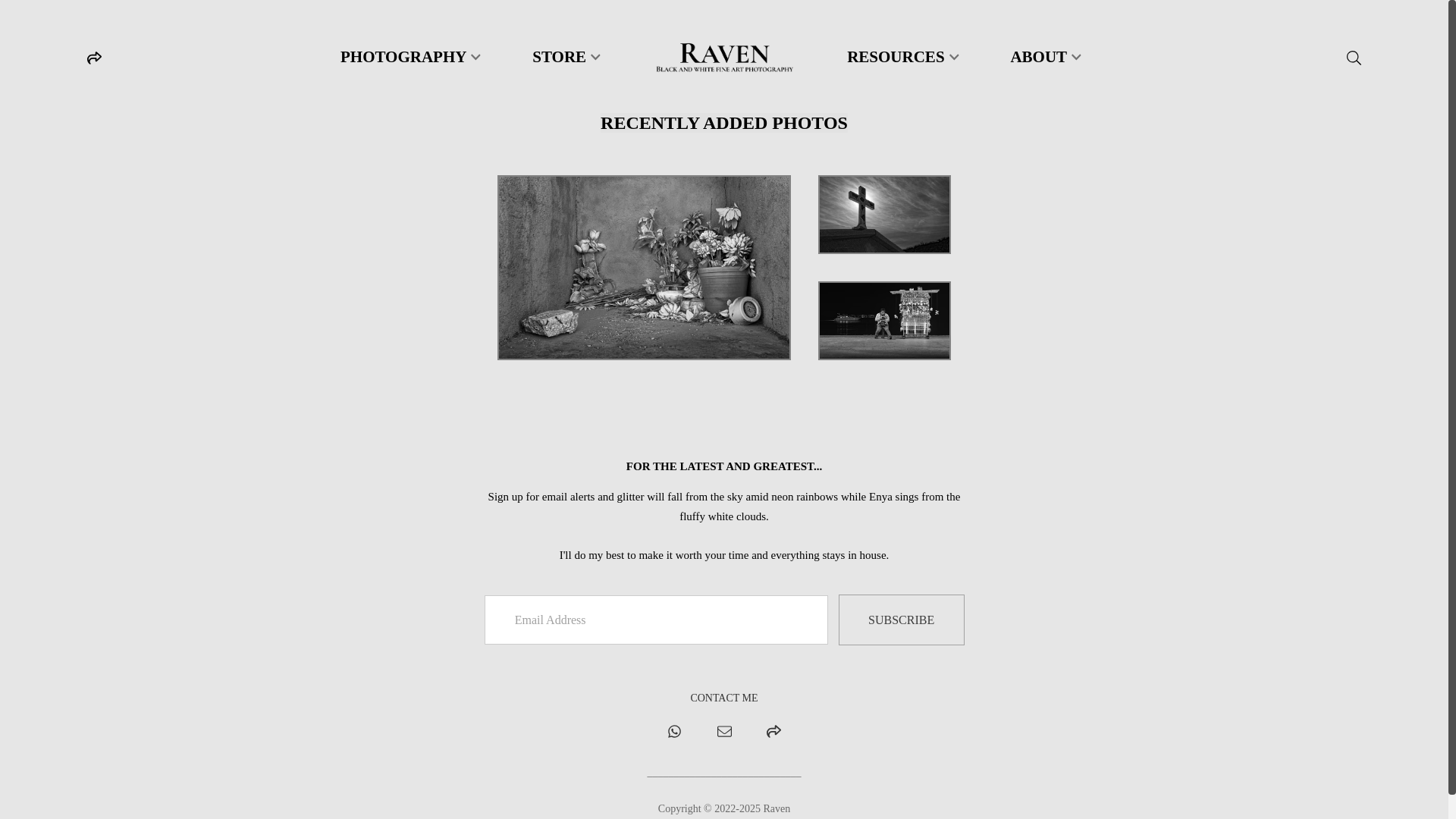 website screenshot of https://xn--fotografaderaven-gsb.com/