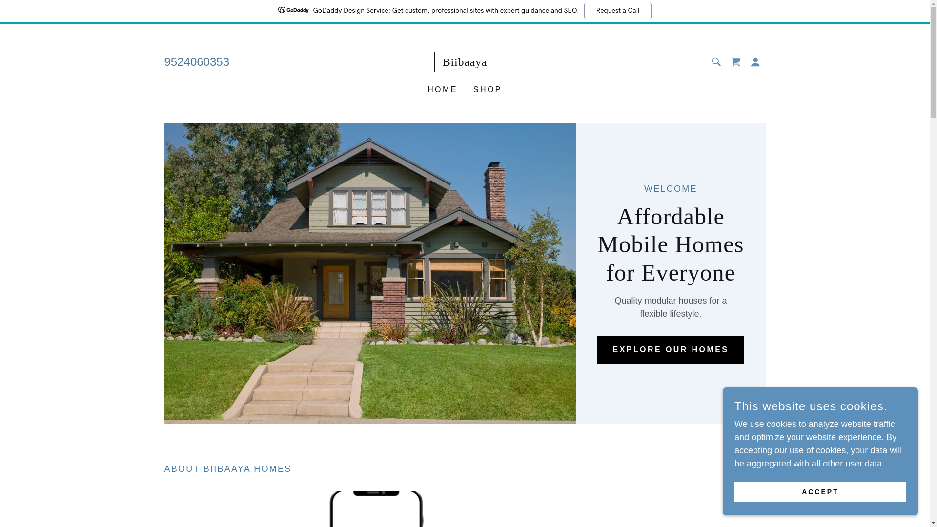 website screenshot of https://biibaaya.com/